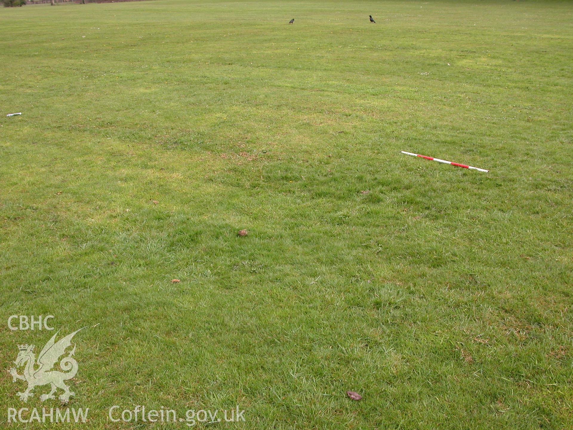 Digital photograph of part of the assessment area, taken from an archaeological impact assessment and field walkover of Pontcanna Fields in Cardiff.