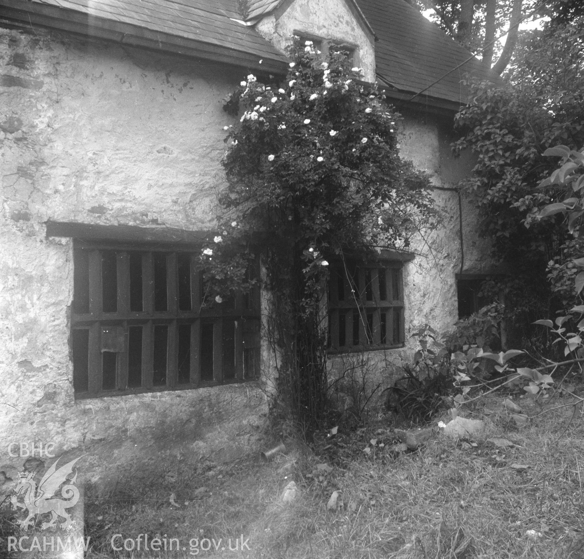 Black and white nitrate negative showing exterior window detail, Brithdir Mawr, Flintshire.