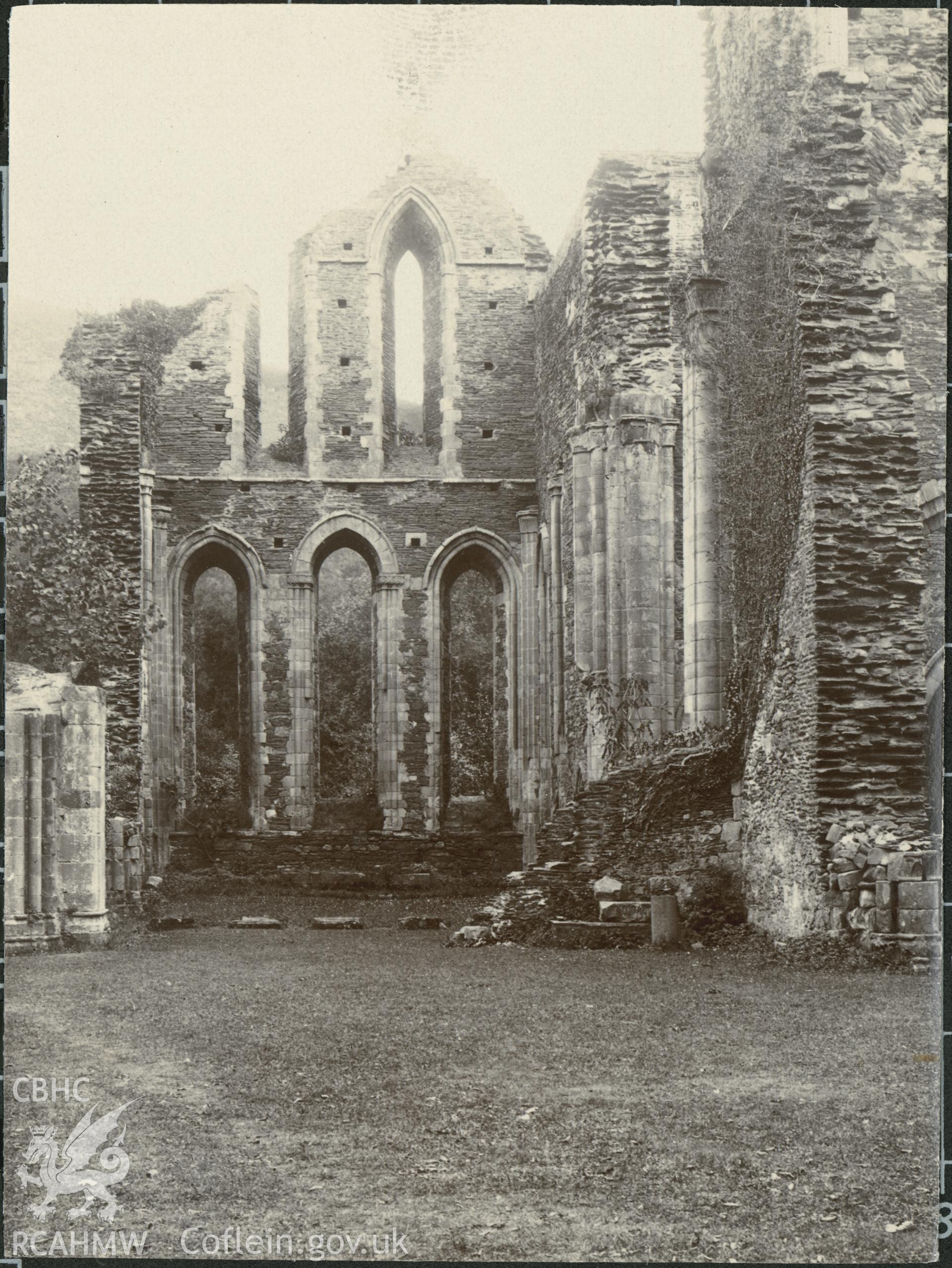 Albumen print by T.W. Reader showing general view of Valle Crucis Abbey.