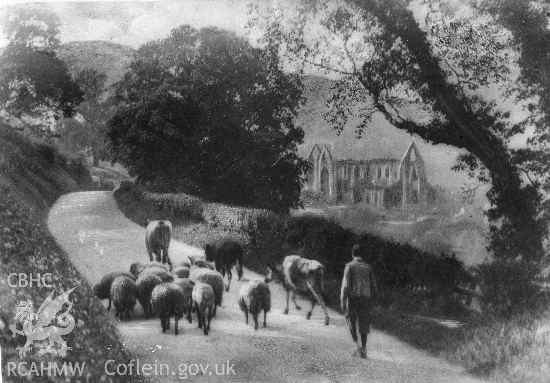 View of shepherd and flock on the road near Tintern Abbey., taken by W A Call.