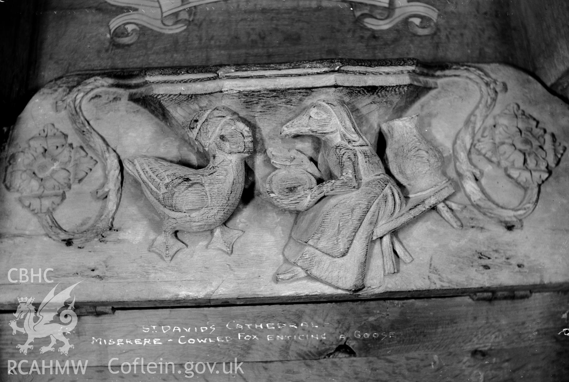 Detail of miserere at St Davids Cathedral showing carving of cowled animal enticing a goose.