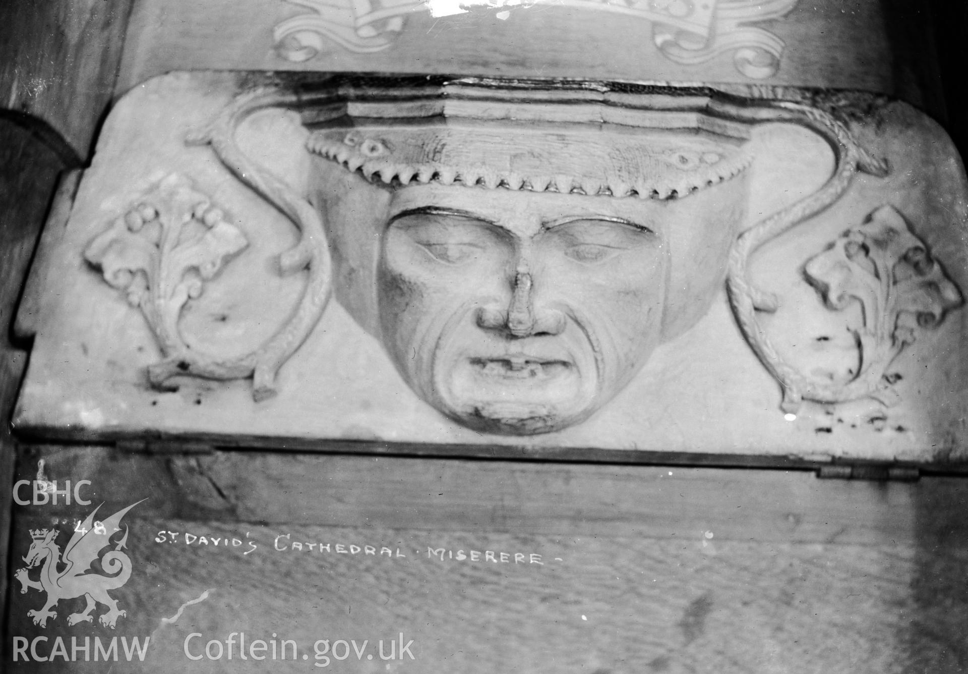 Detail of miserere at St Davids Cathedral showing carving of green man.