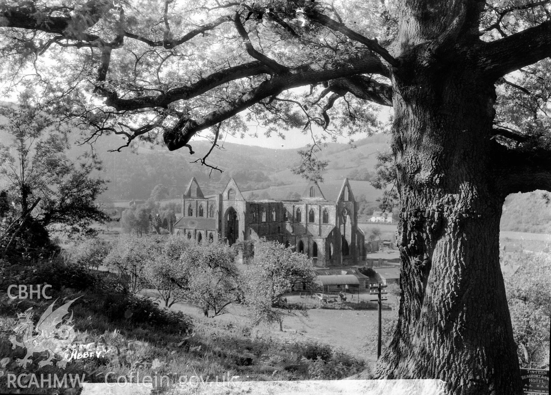 View of Tintern Abbey