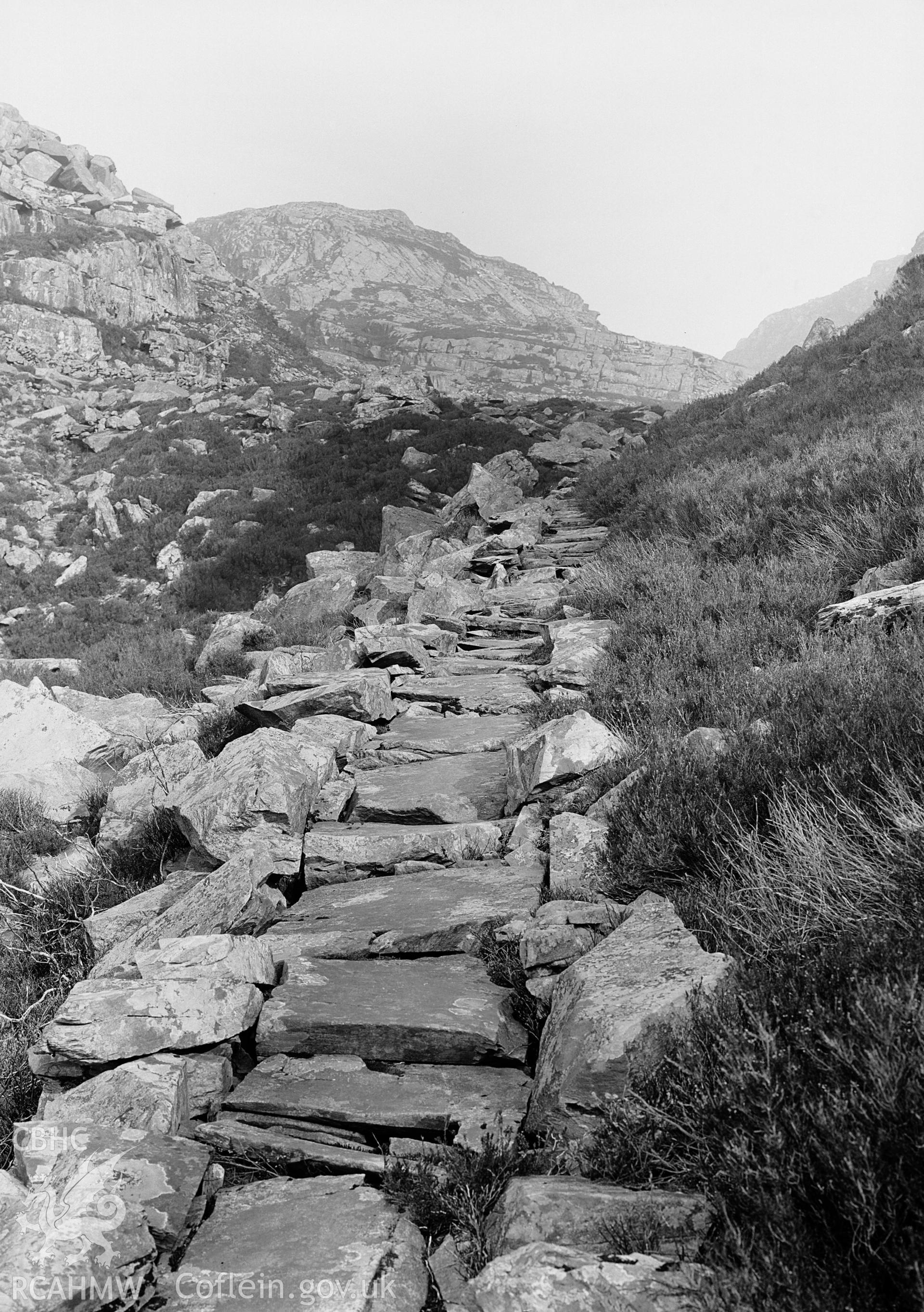 View of Roman steps at Llanbedr, taken by Clayton.