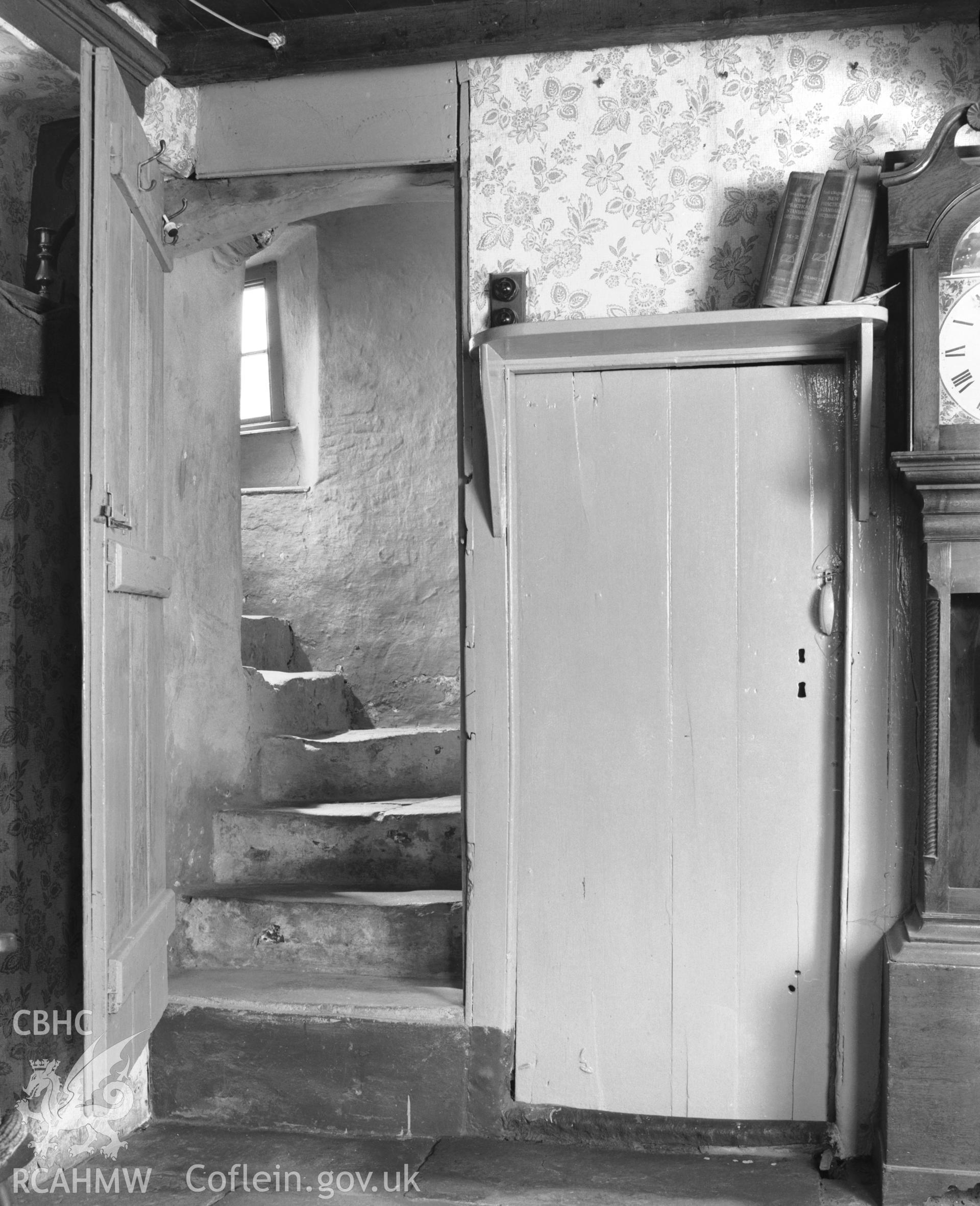 Interior view showing steps and cupboard.