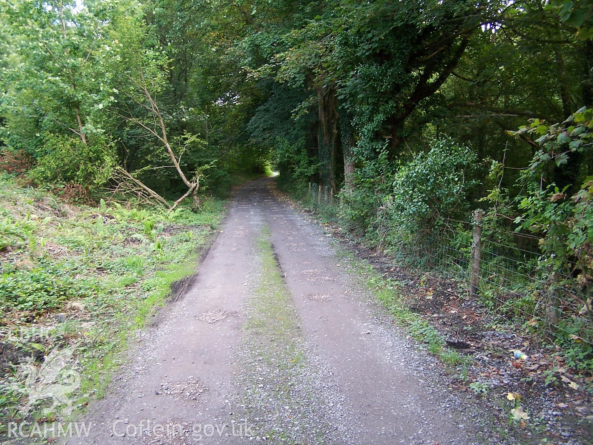 View looking north-east along the entrance road, close to the site of the former entrance gates (NPRN:405057).
