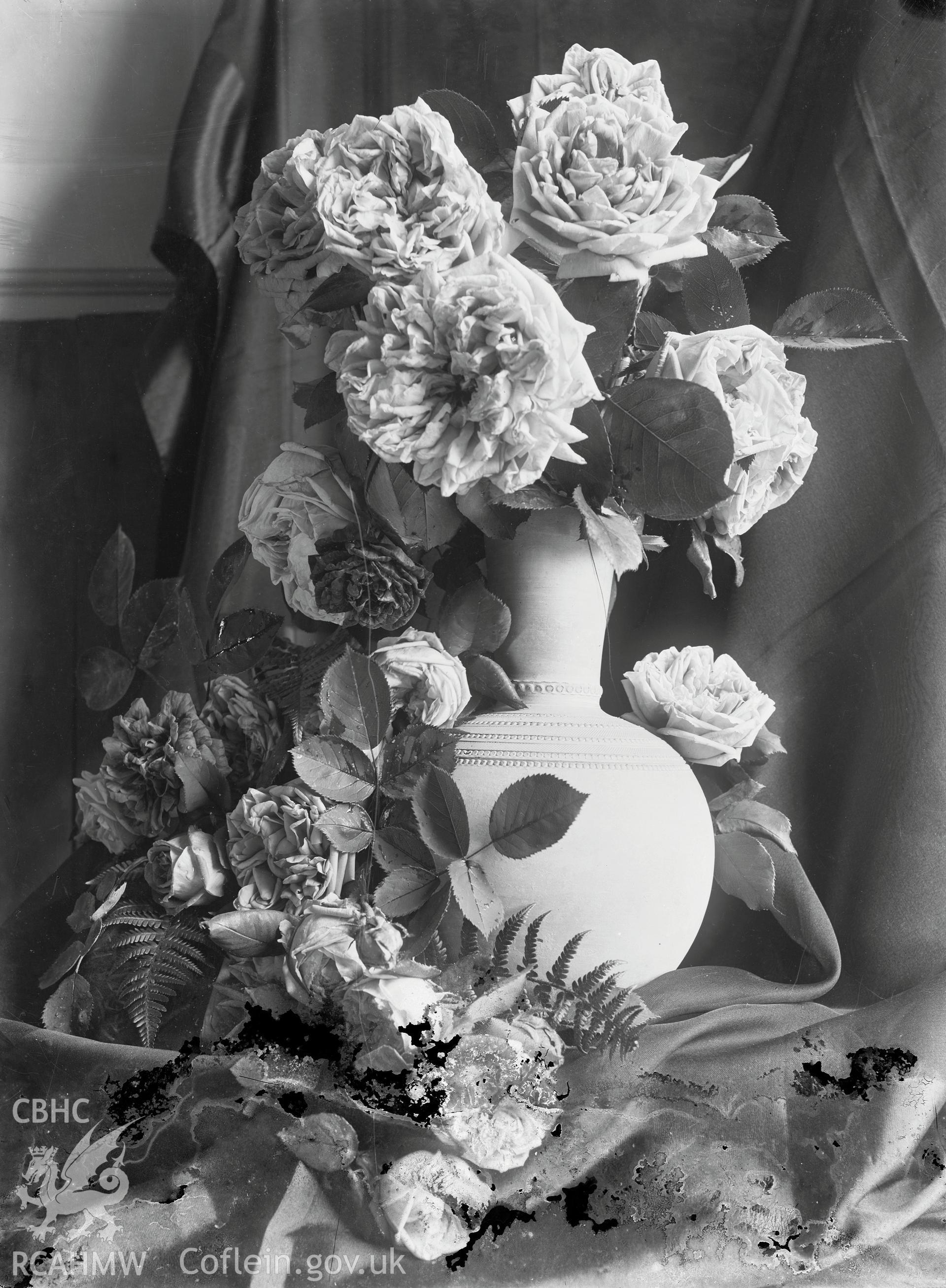 Black and white image dating from c.1910 showing a vase of roses, taken by Emile T. Evans.