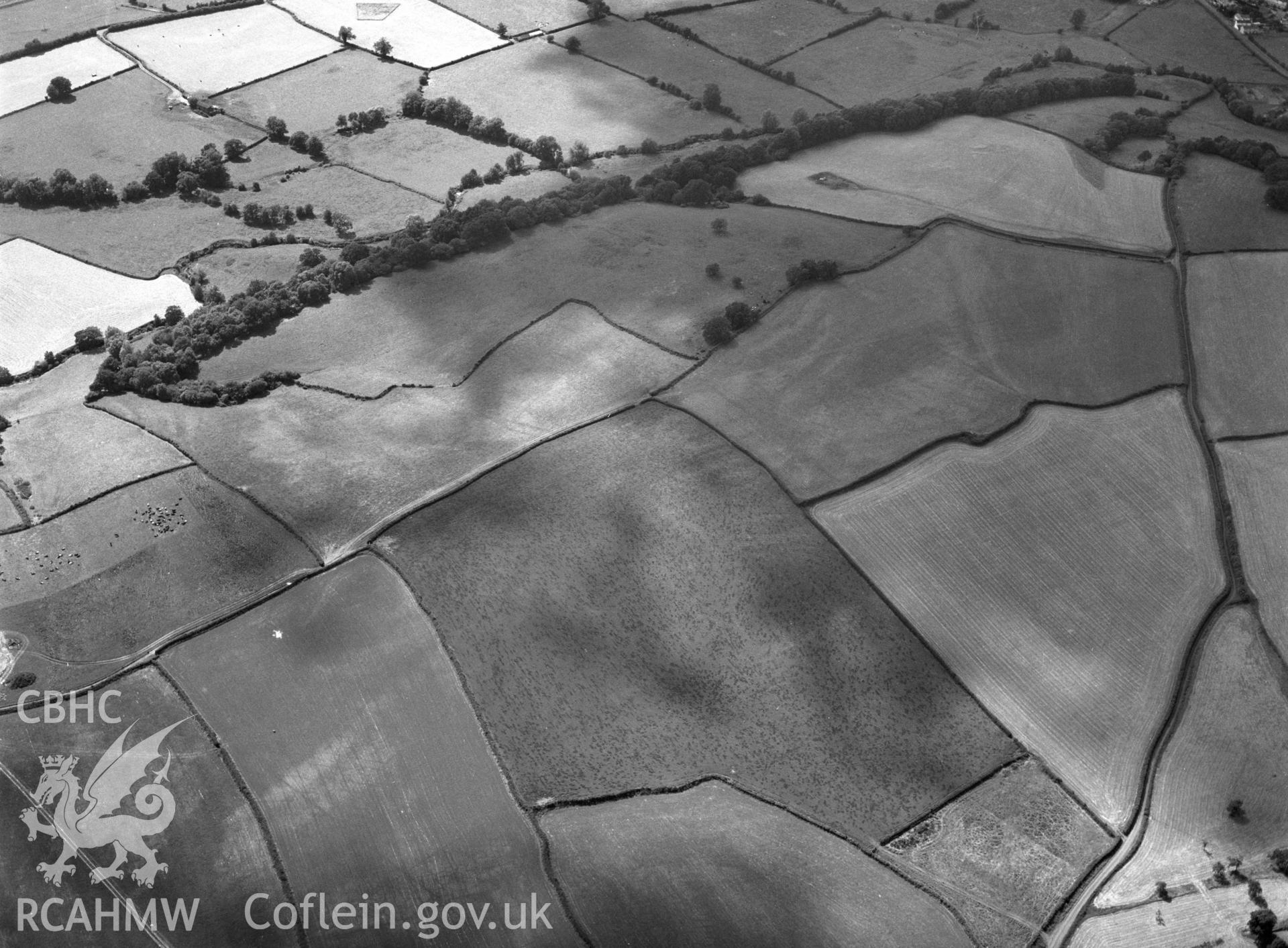 RCAHMW black and white oblique aerial photograph of  Graig Olway Farm cropmarks