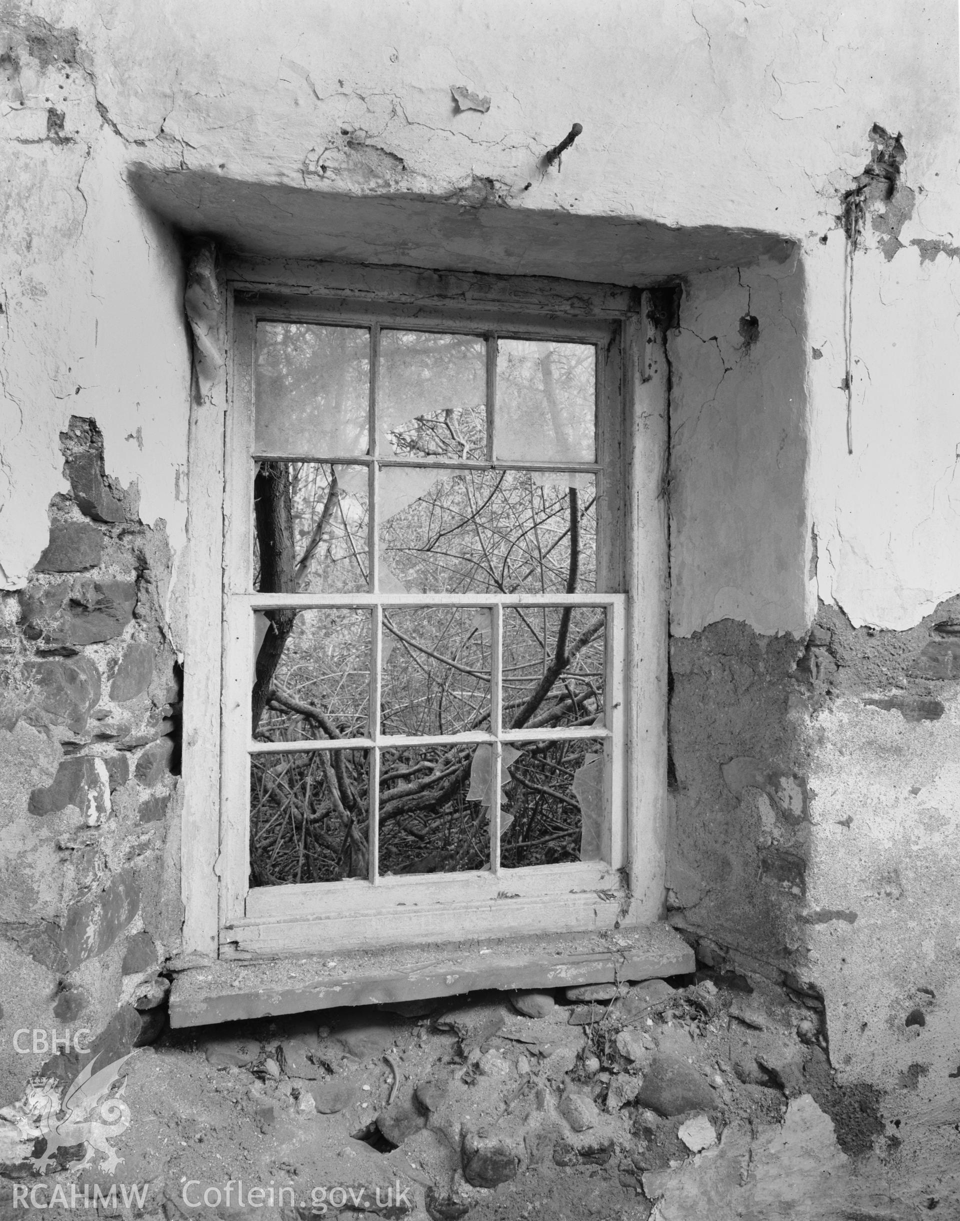 Interior - window