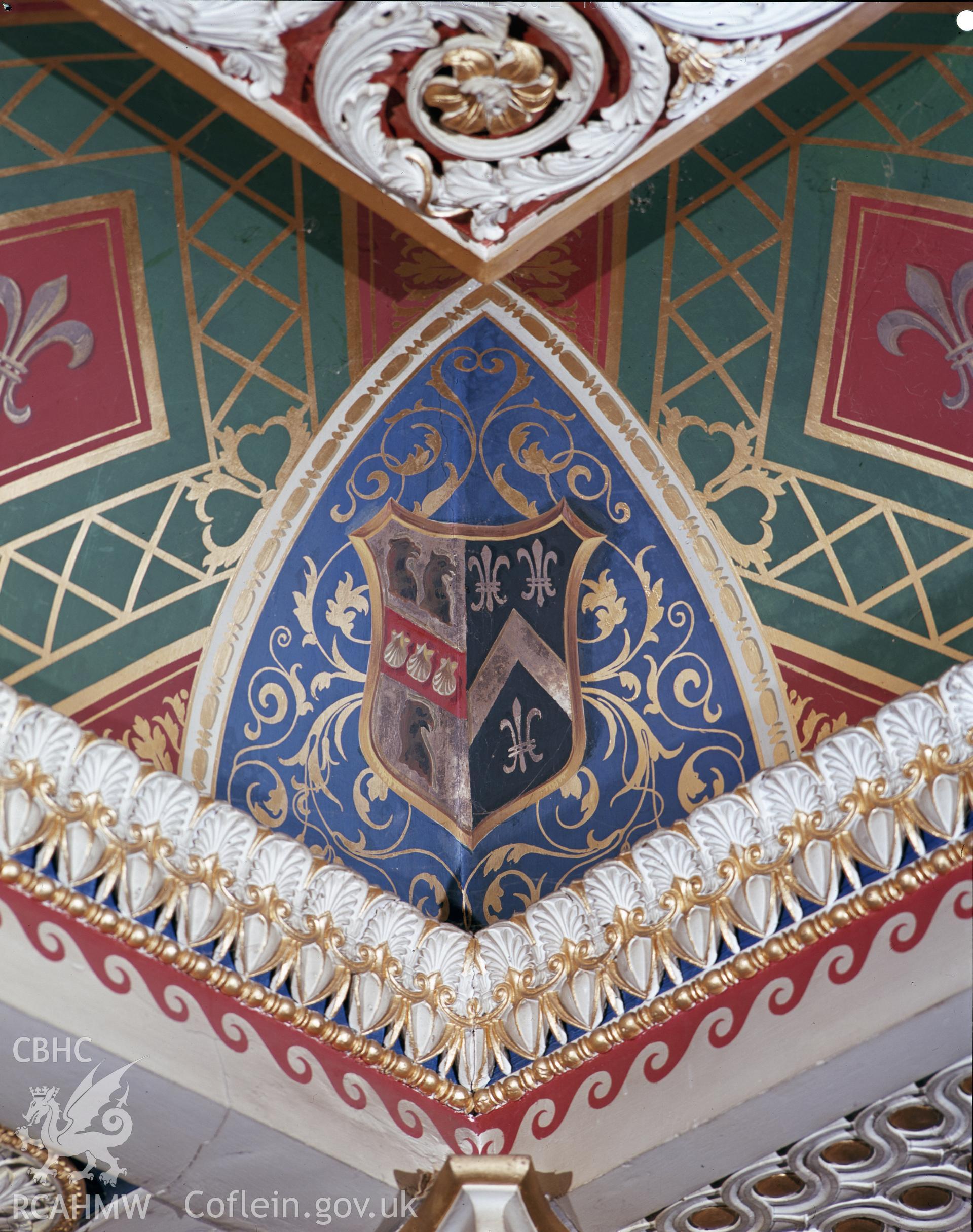 Colour image showing the ceiling in the library at Trawscoed.