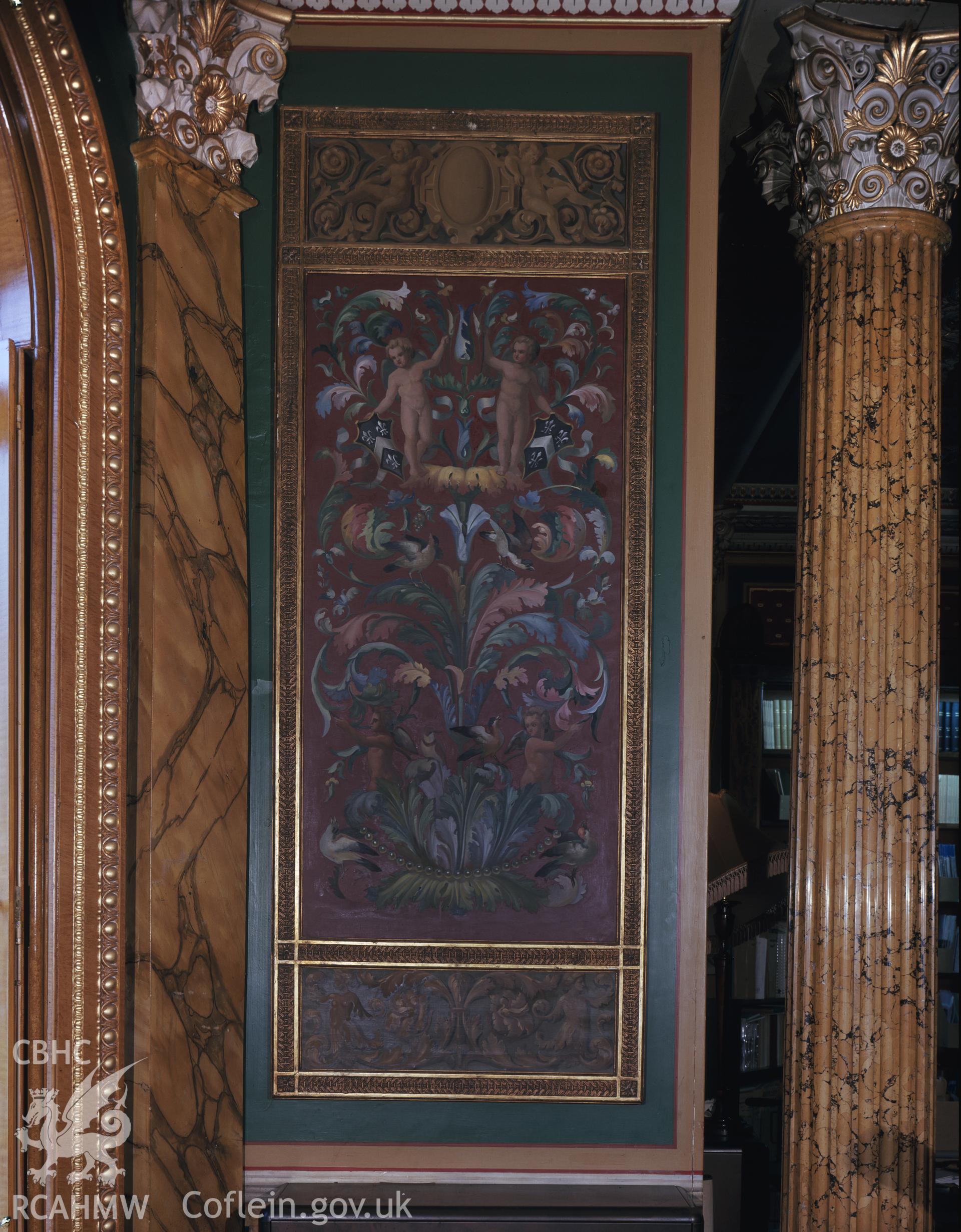Colour image showing ceiling detail in the library at Trawscoed.
