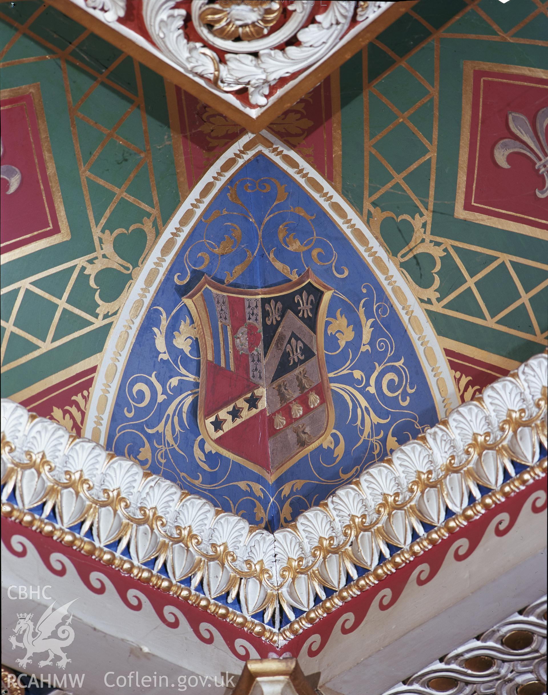 Colour image showing the ceiling in the library at Trawscoed.