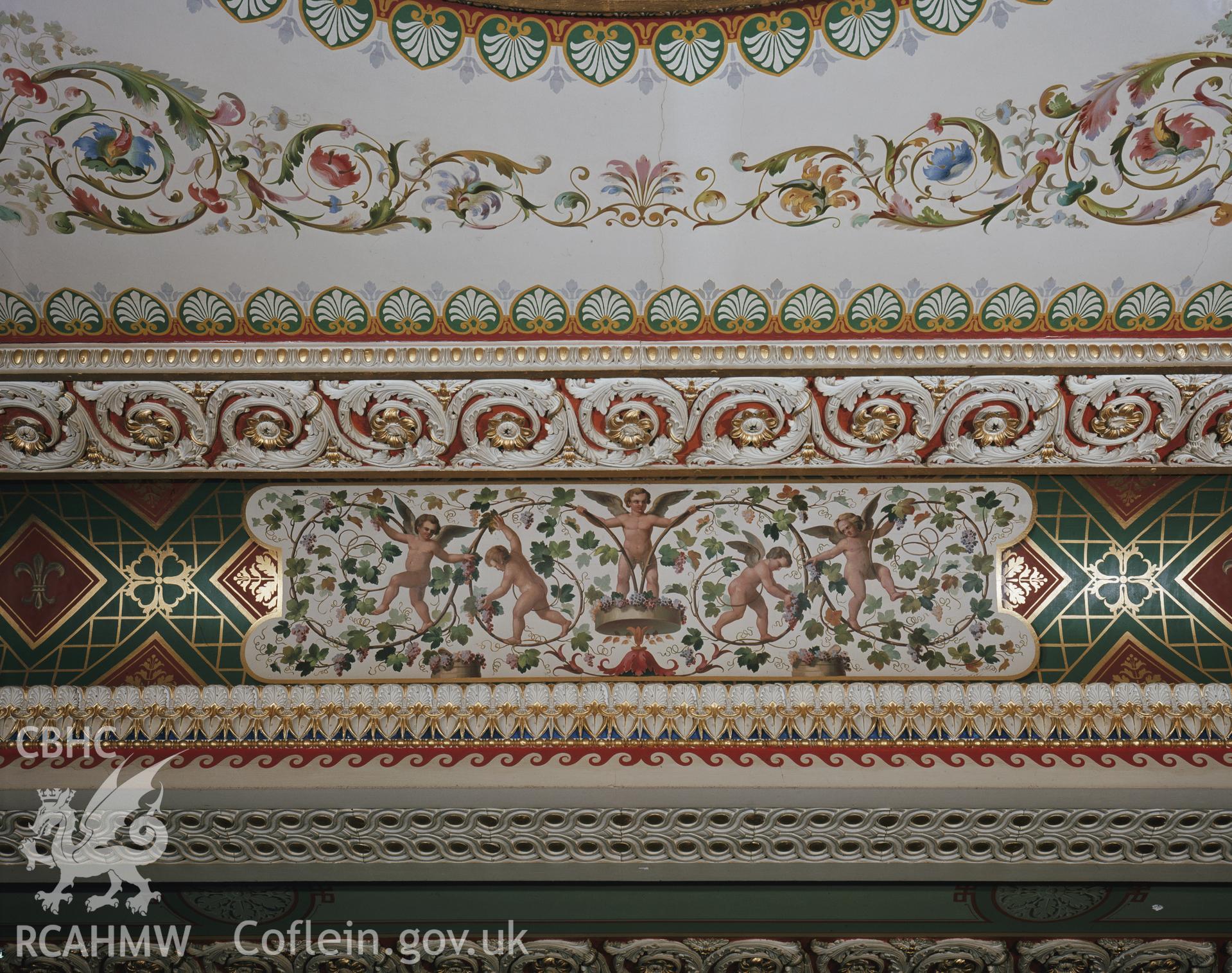 Colour image showing ceiling detail at the library at Trawscoed.