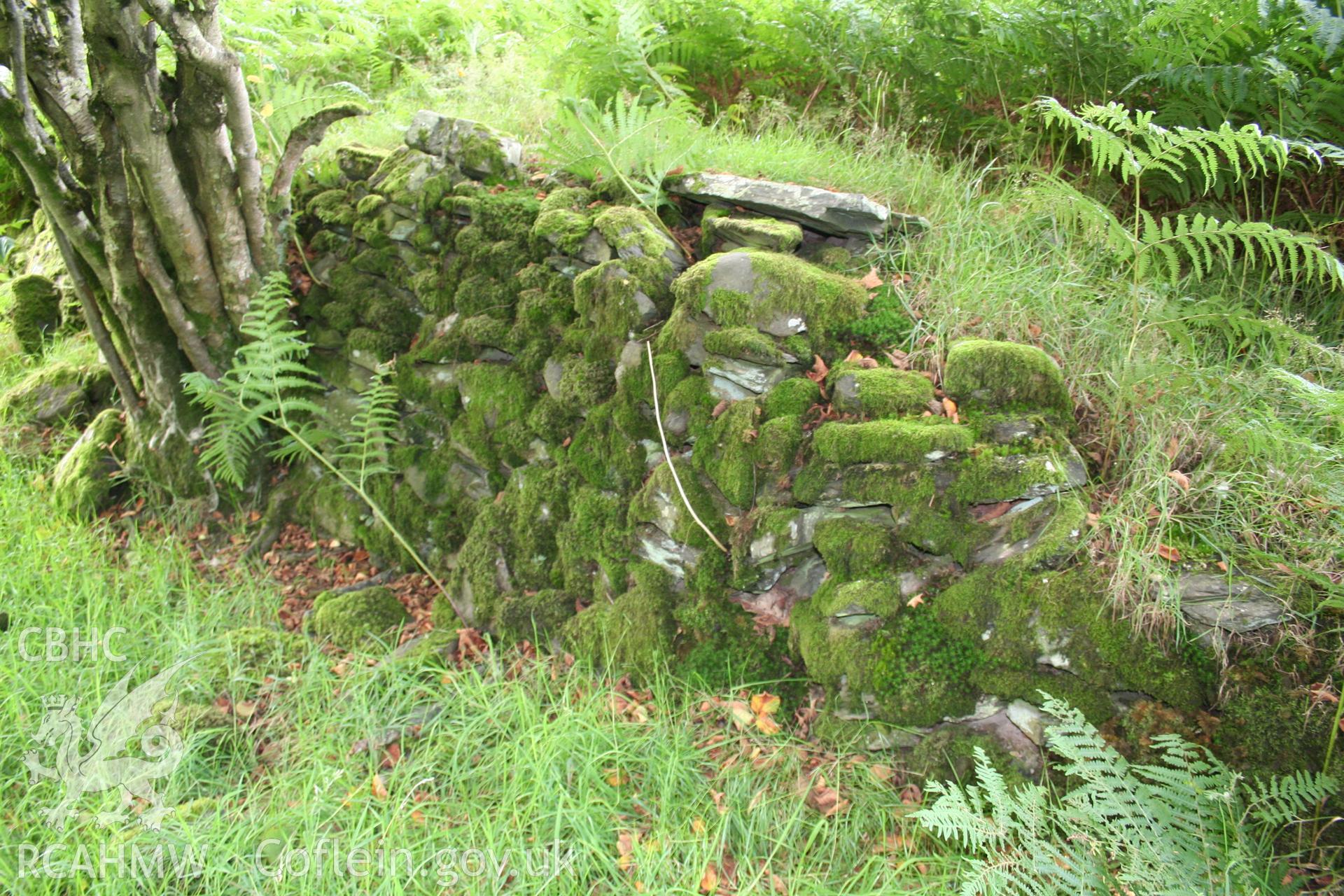 Surviving section of wall defining enclosure C