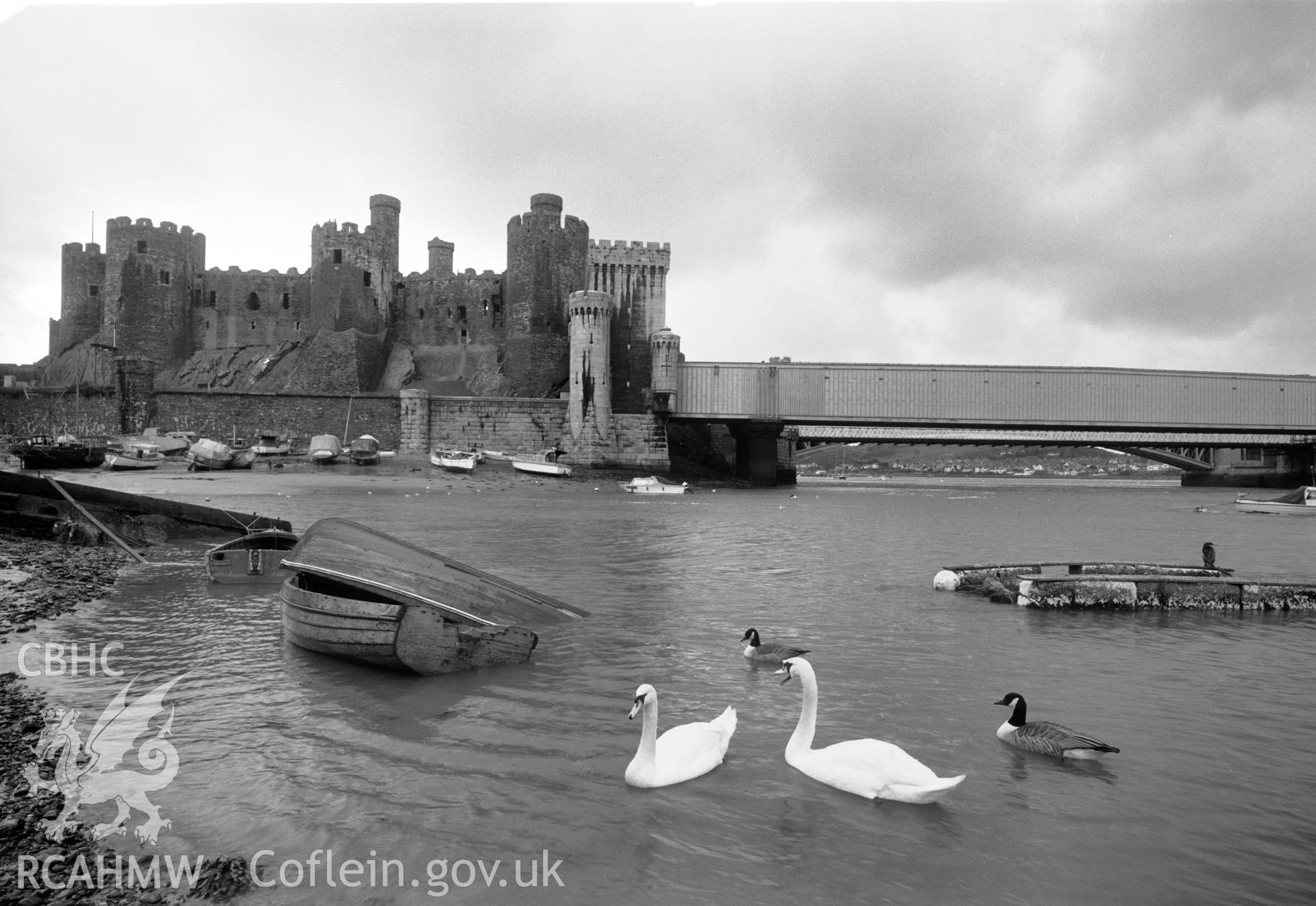 Photographic negative showing view of Conwy castle with swans; collated by the former Central Office of Information.