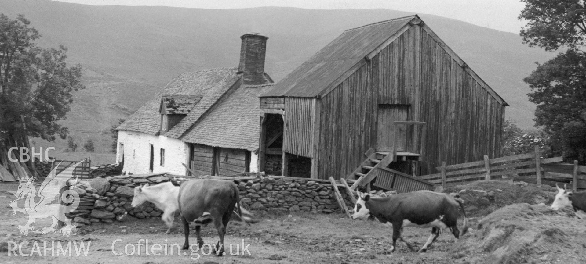 View of Cil-Oerwynt Farmhouse taken by Miss M. Wight circa 1954.