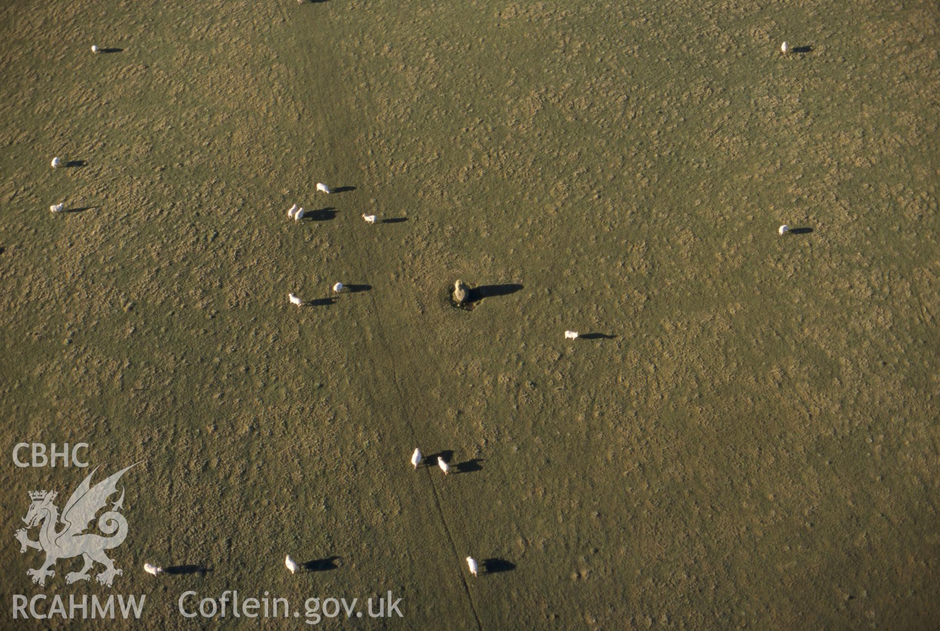 RCAHMW colour slide oblique aerial photograph of Carreg Hir Standing Stone, Caersws, taken on 20/12/1998 by CR Musson