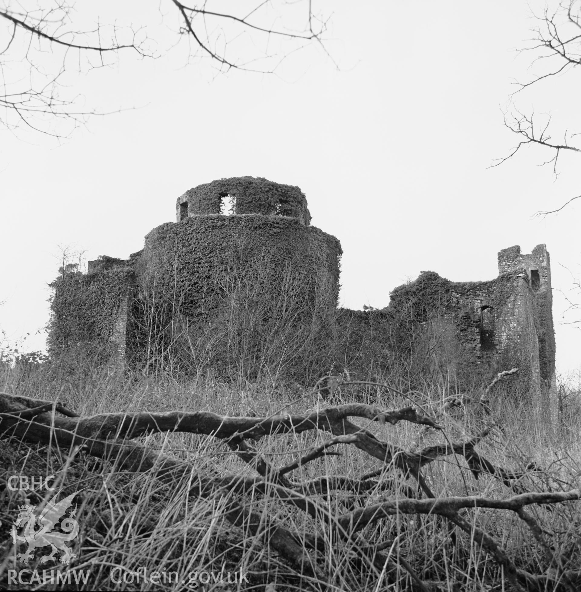 Photographic negative showing view of Dinefwr Castle; collated by the former Central Office of Information.