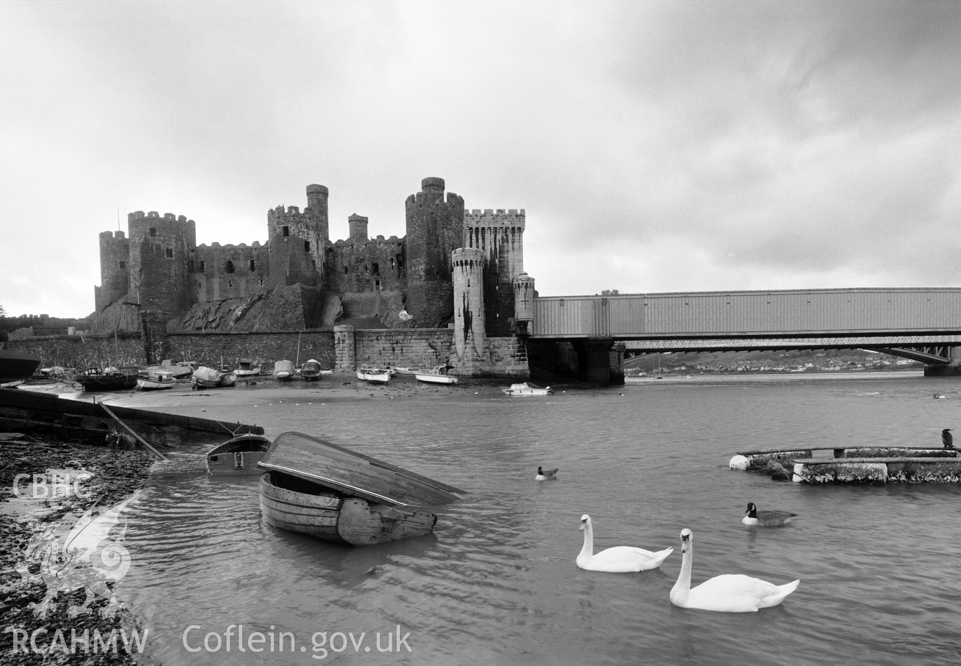 Photographic negative showing view of Conwy Castle with swans; collated by the former Central Office of Information.