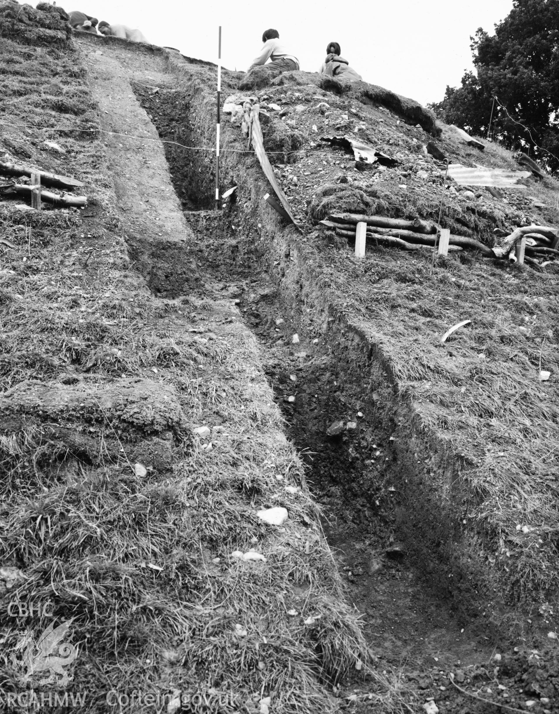 General view of excavations at Sycharth Castle from D.B.Hague Sycharth Collection.