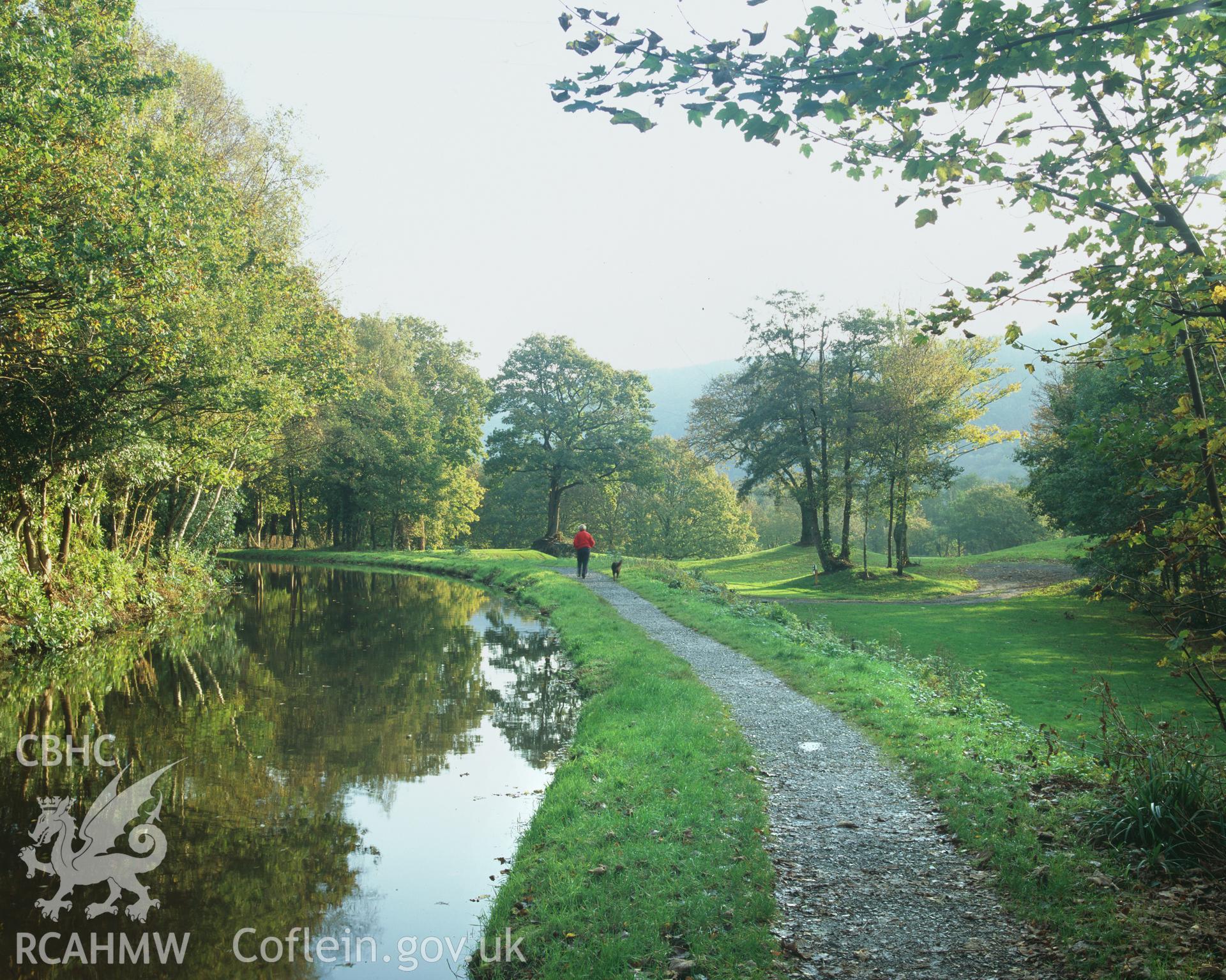 Colour transparency showing  Manor Park section of Swansea Canal, produced by Iain Wright, October 2005.