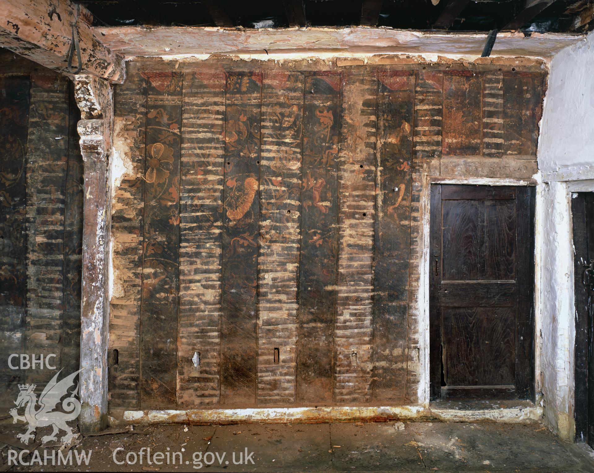 RCAHMW colour transparency showing screen decoration at Ciliau, Painscastle.