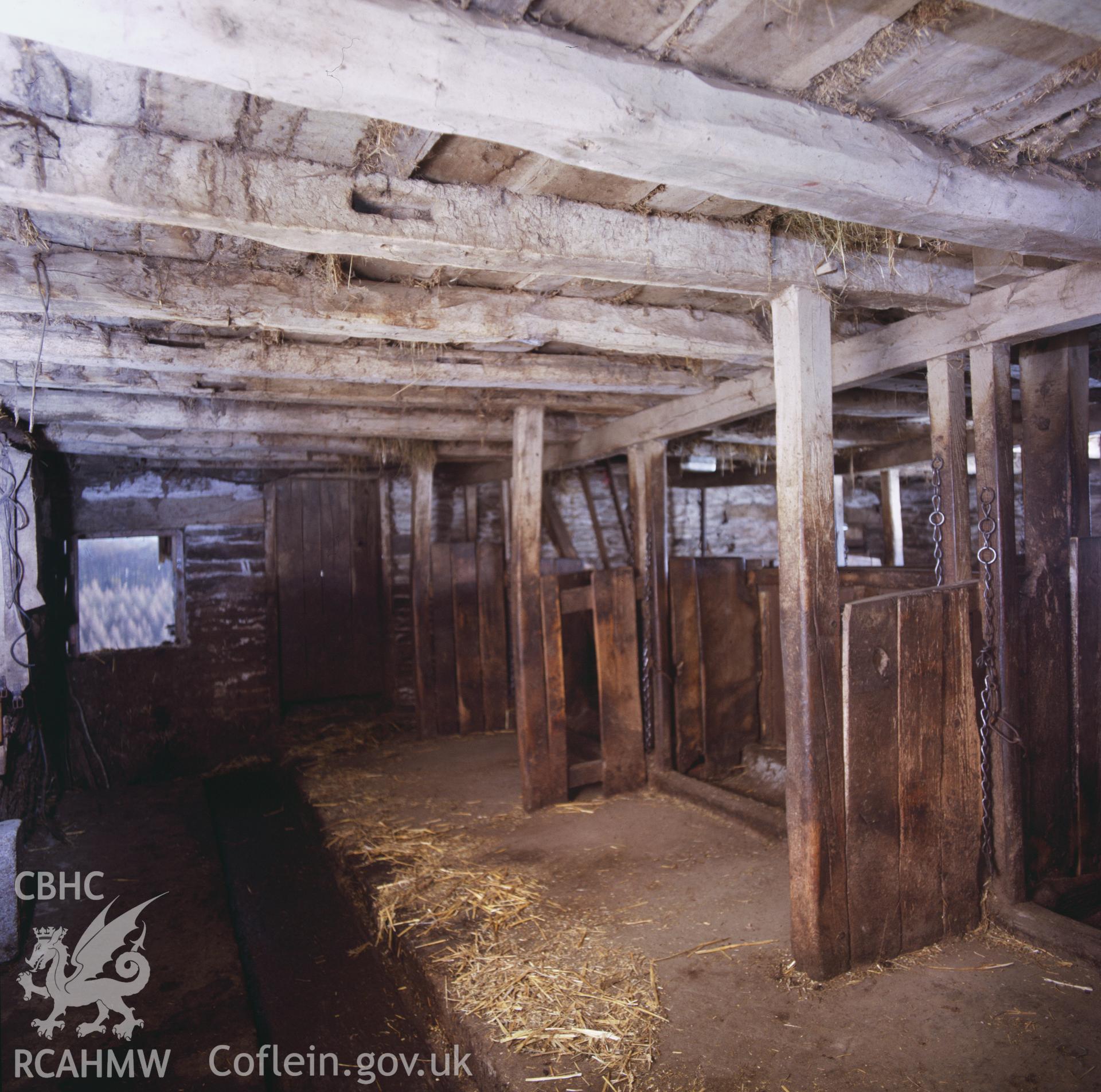 RCAHMW colour transparency showing stalls in a barn at Lower Nantserth Farm.