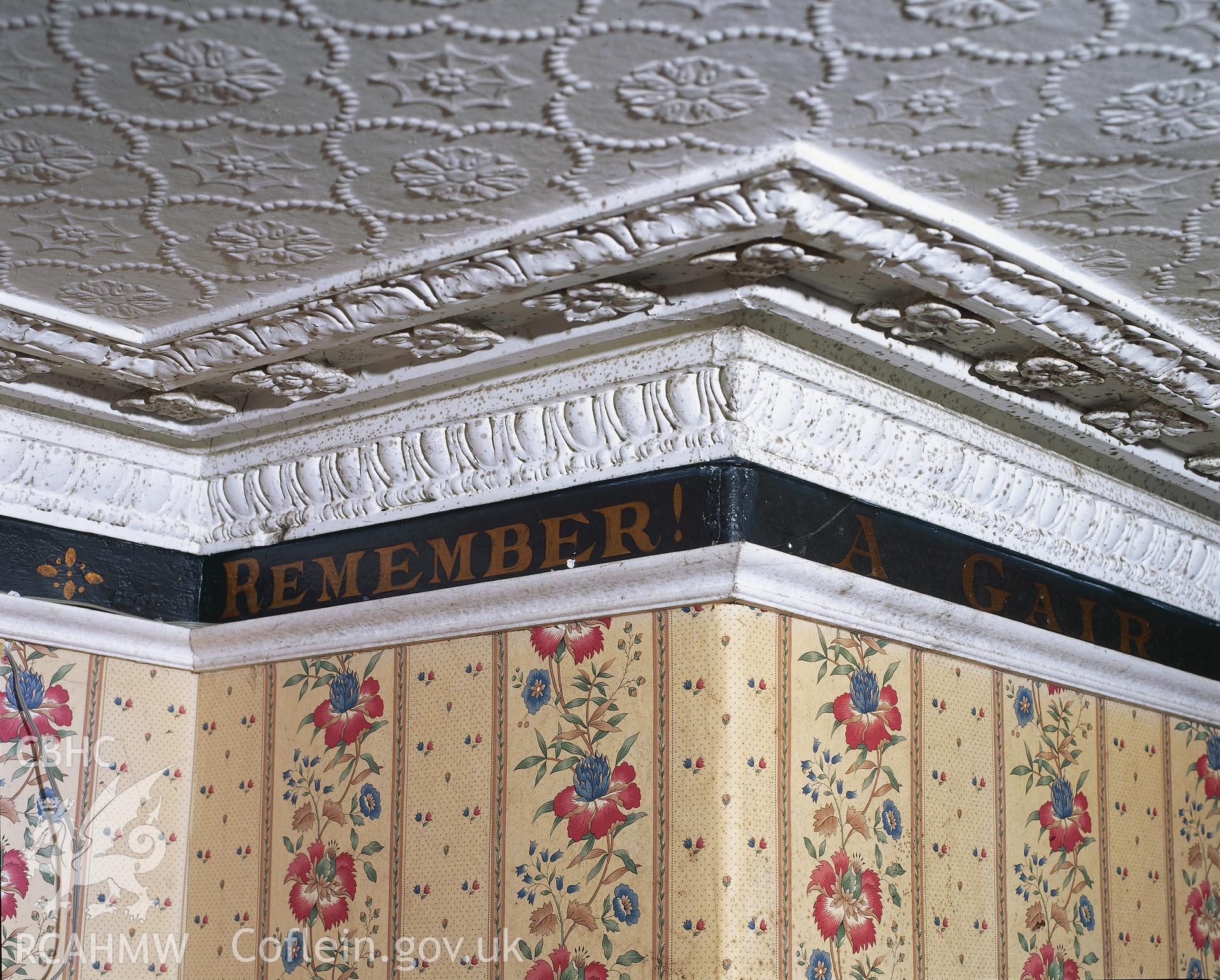 RCAHMW colour transparency showing detail of decorated plaster cornice at Mount Pleasant, Llangunnor.