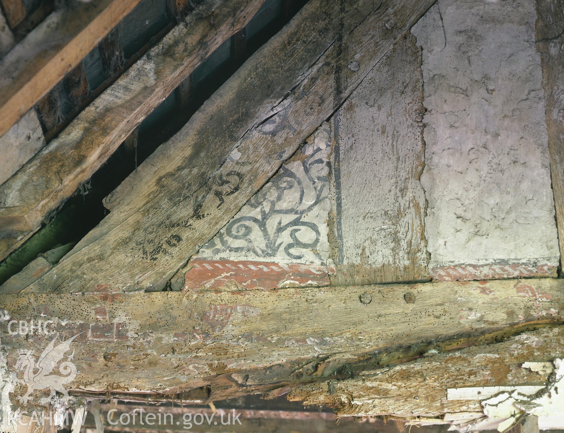 RCAHMW colour transparency showing view of the wallpainting at Borras Hall.
