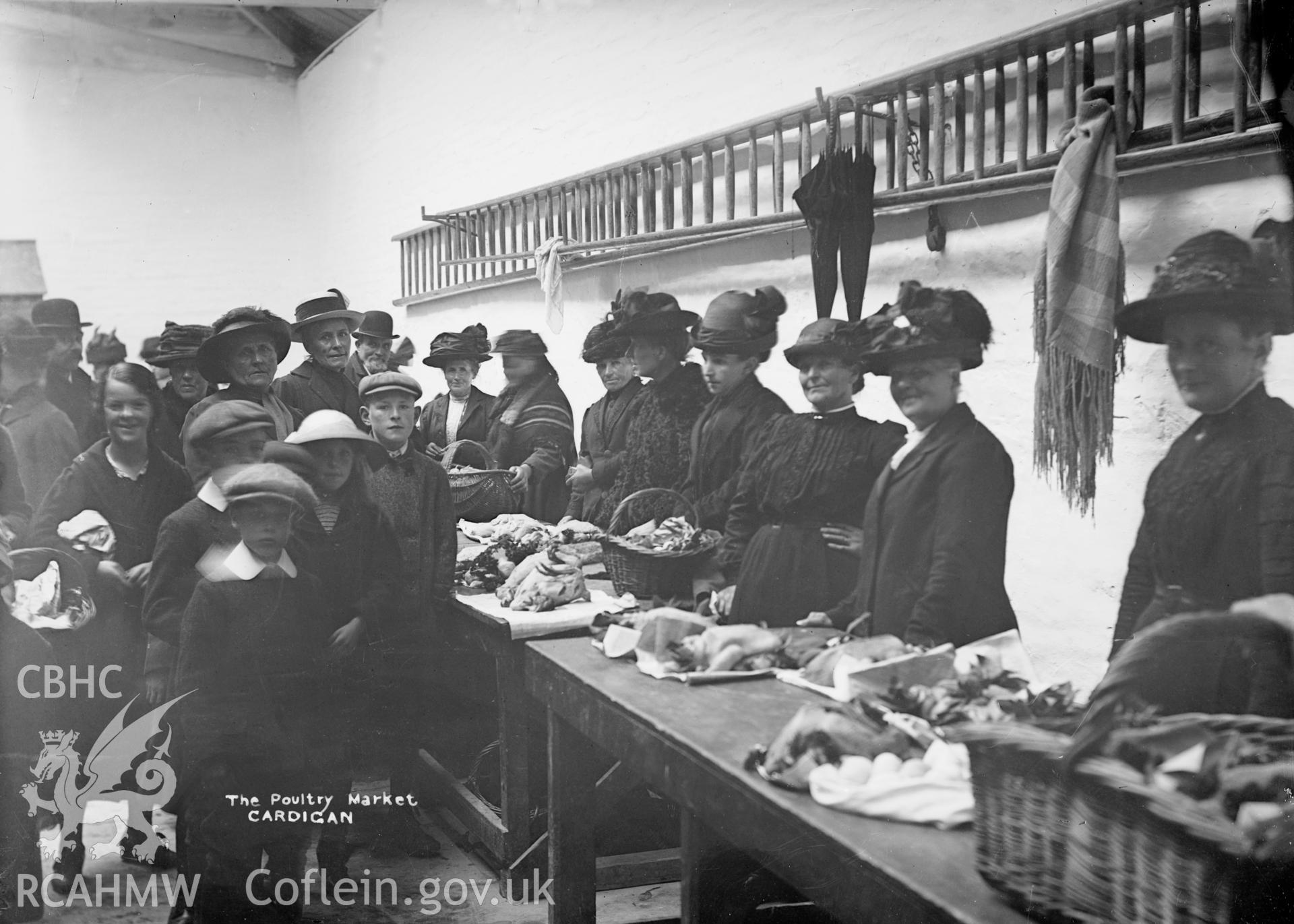 Black and white glass negative showing "The Poultry Market, Cardigan"