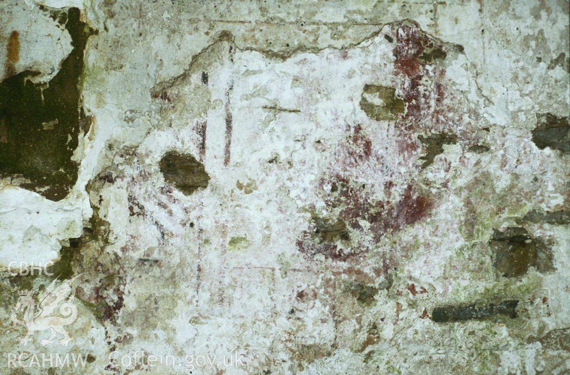 RCAHMW colour transparency showing wallpainting at St Teilo's Church, Llandeilo Talybont, photographed in 1984.
