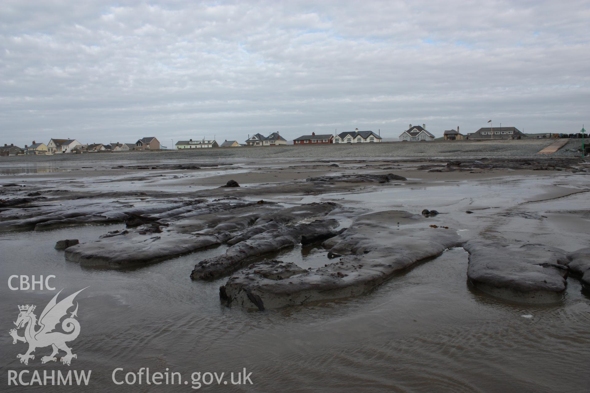 Borth submerged forest (between RNLI lifeboat station and upper Borth), looking east towardsHigh Street. Showing western extent of peat exposures at low tide