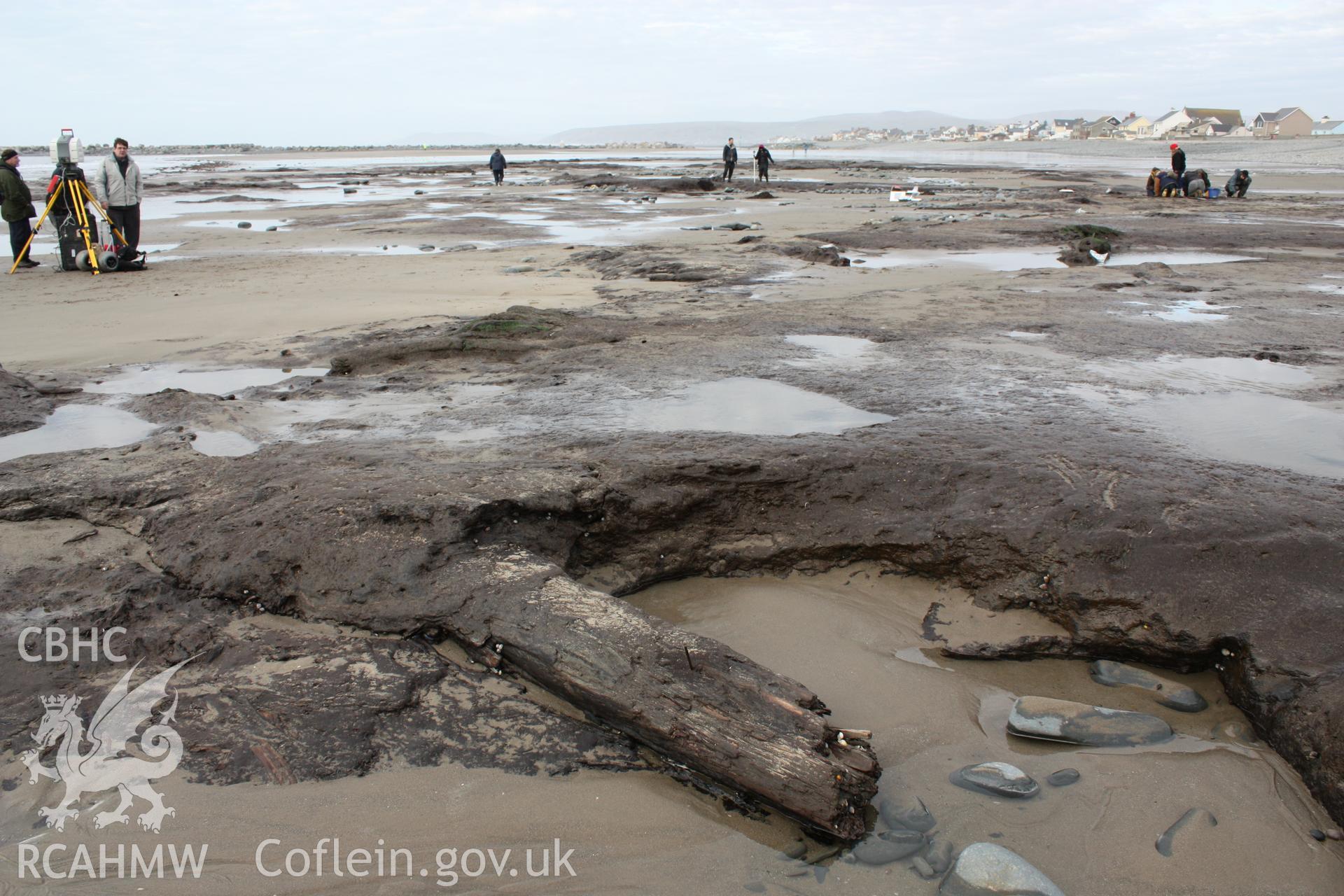 Borth submerged forest (between RNLI lifeboat station and upper Borth), looking northeast towards High Street and lifeboat station. Showing close-up of peat surface with preserved tree remains