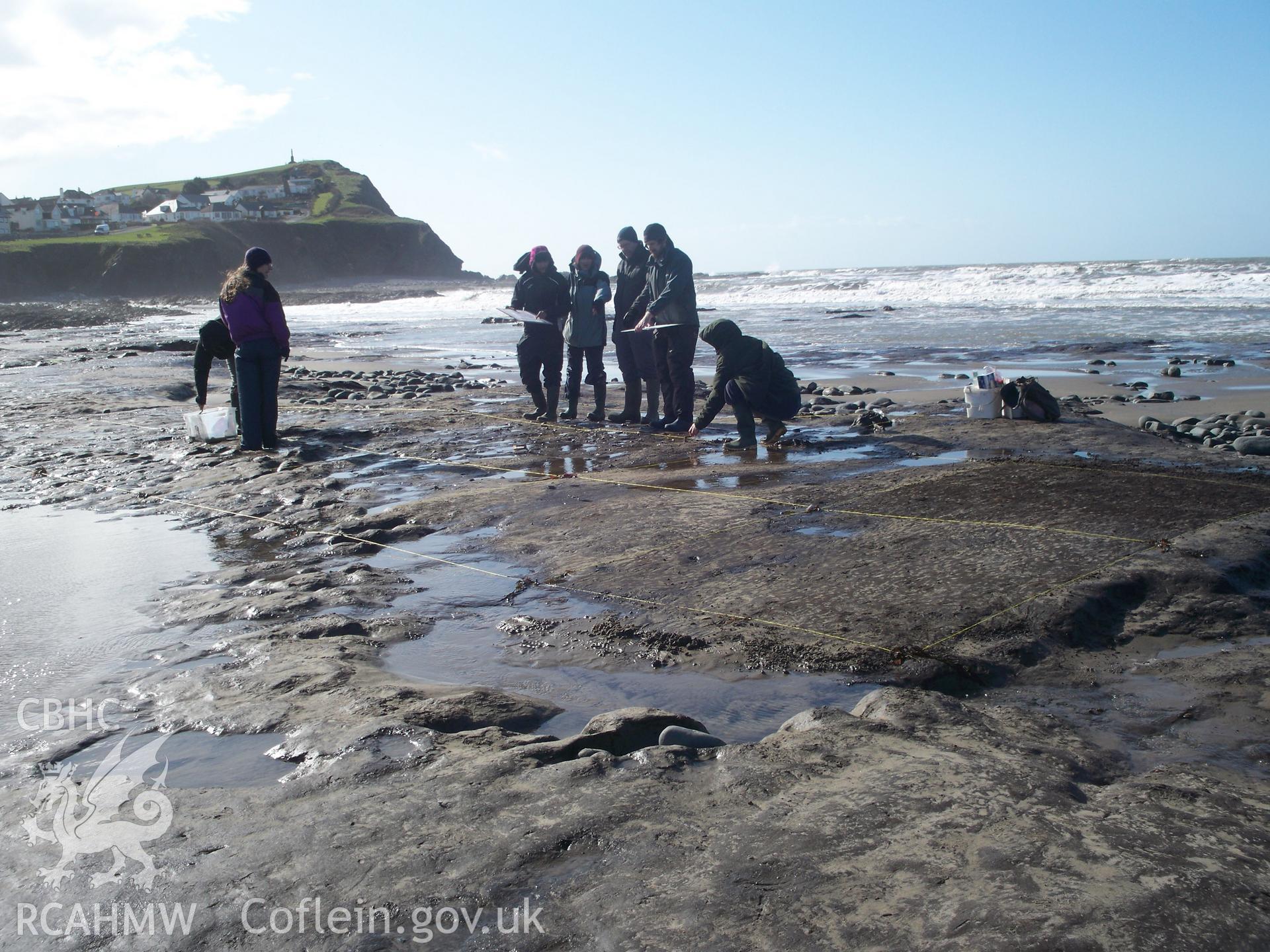 Borth submerged forest (between RNLI lifeboat station and upper Borth). Showing surface of peat exposure with Lampeter university staff and students for scale