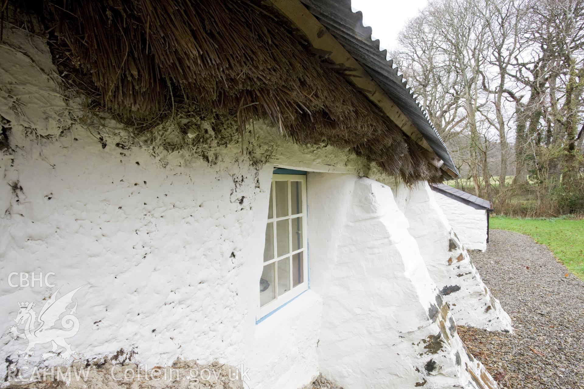 Detail of southeast wall showing surviving underthatch.
