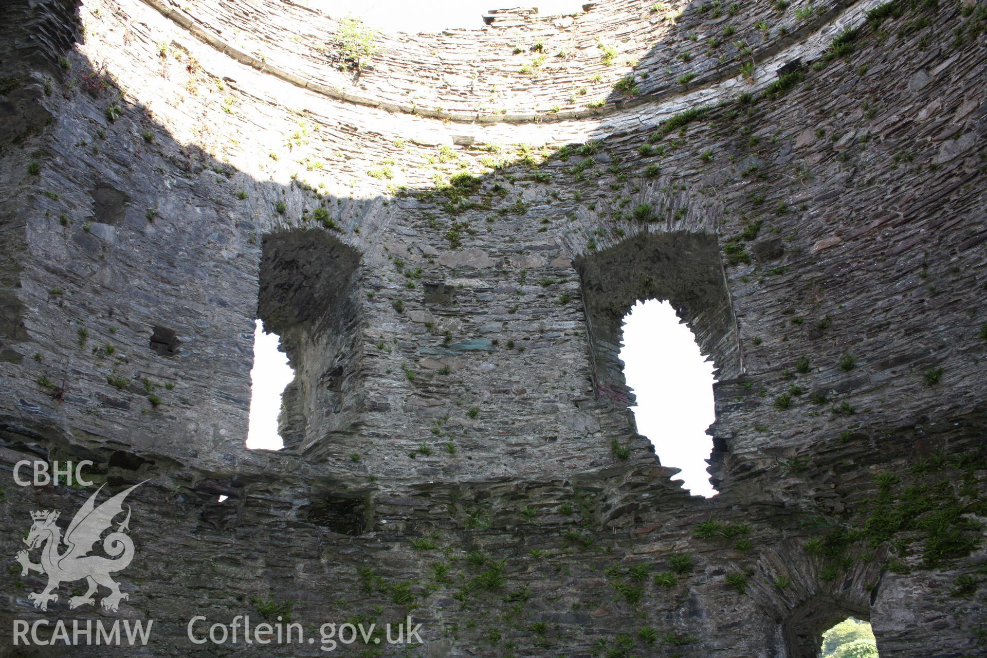 Investigators' Digital Photography of Dolbadarn castle. Llanberis