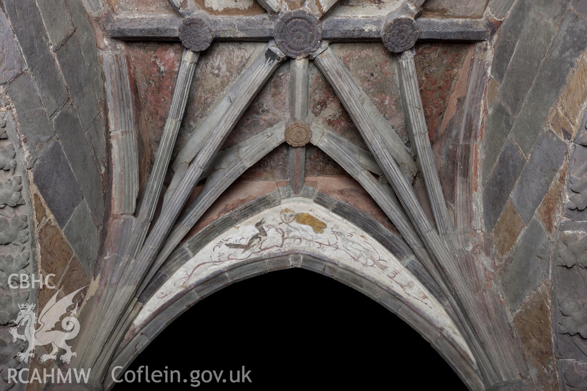 Owl  with decorated vaulting
