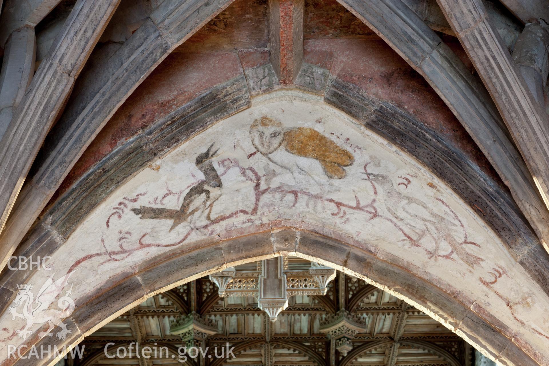 Owl decoration on vaulting, detail