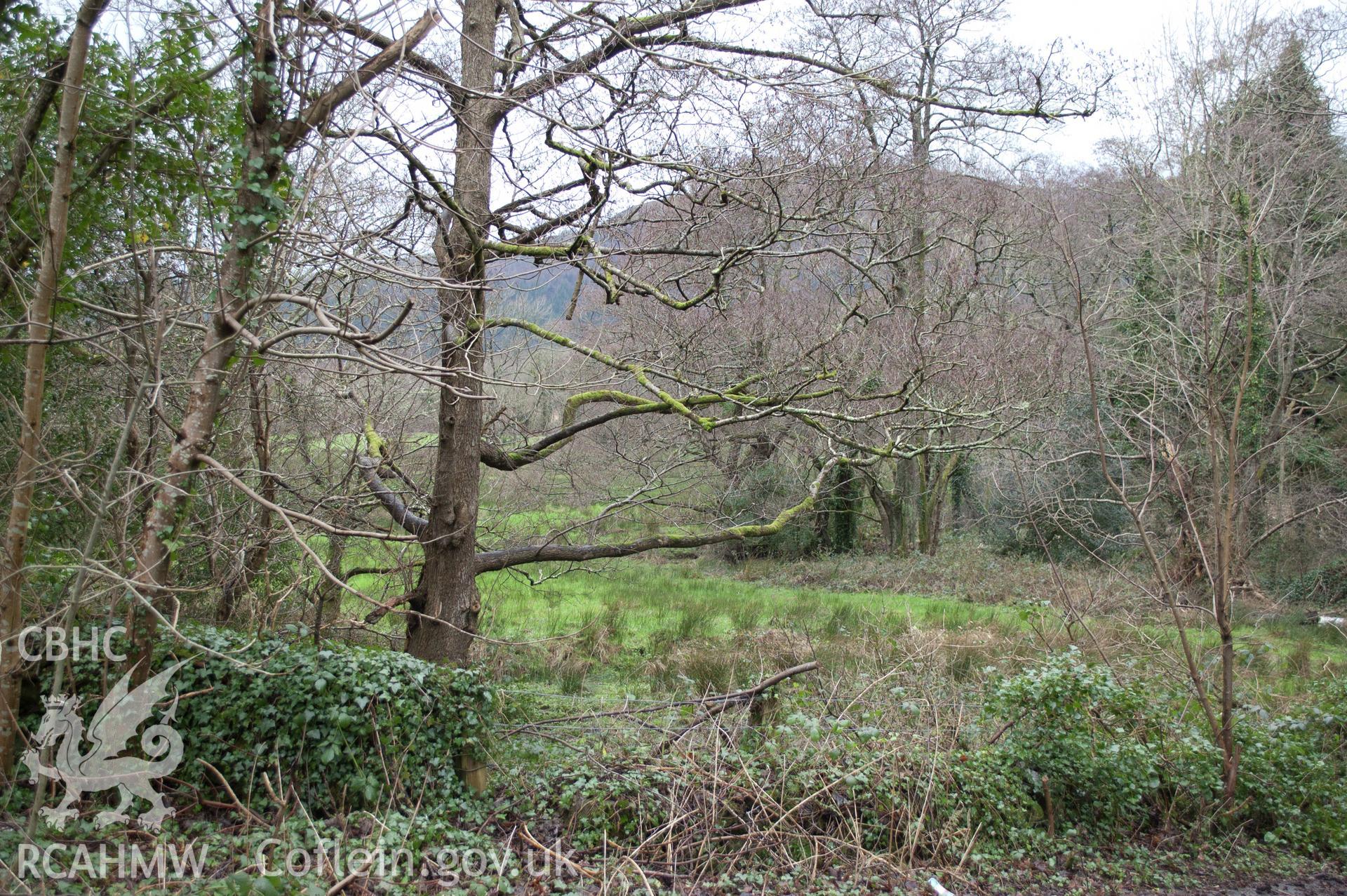 Marian Mawr archaeological assessment; section B-C, view from SSE looking towards pipeline route across boggy field to the west of the WTW,  taken by Robert Evans of Gwynedd Archaeological Trust, 5th February 2016.