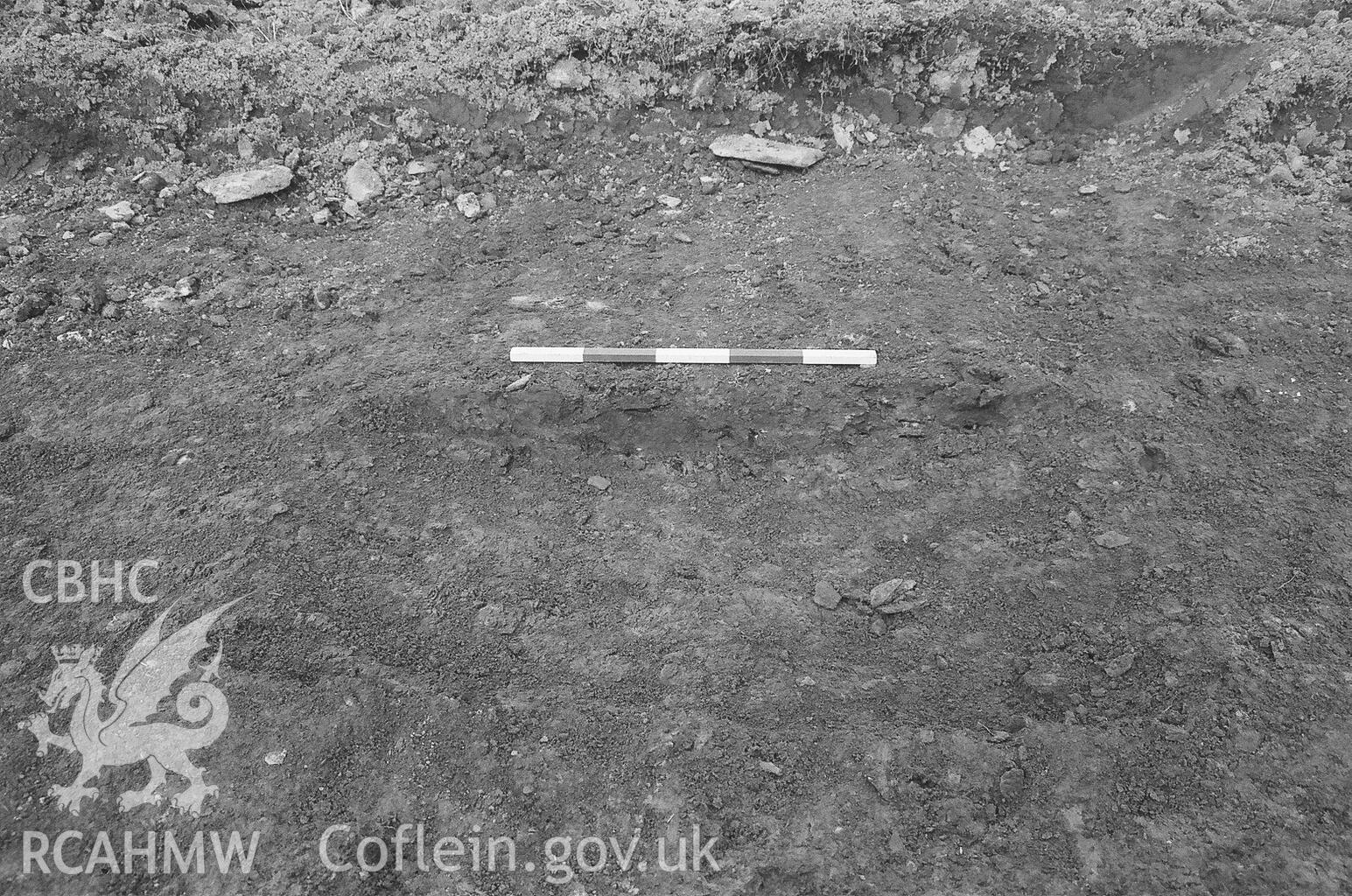 Photo taken during Archaeological Evaluation of land at Langton Farm, Scleddau, commissioned by CgMS. Produced by Headland Archaeology (UK) Ltd., March 2015.