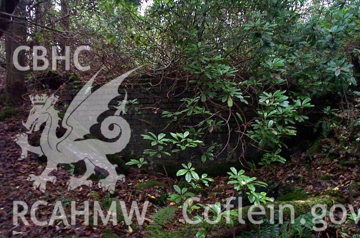Digital colour photograph showing a disused culvert at the Penllergare Estate.