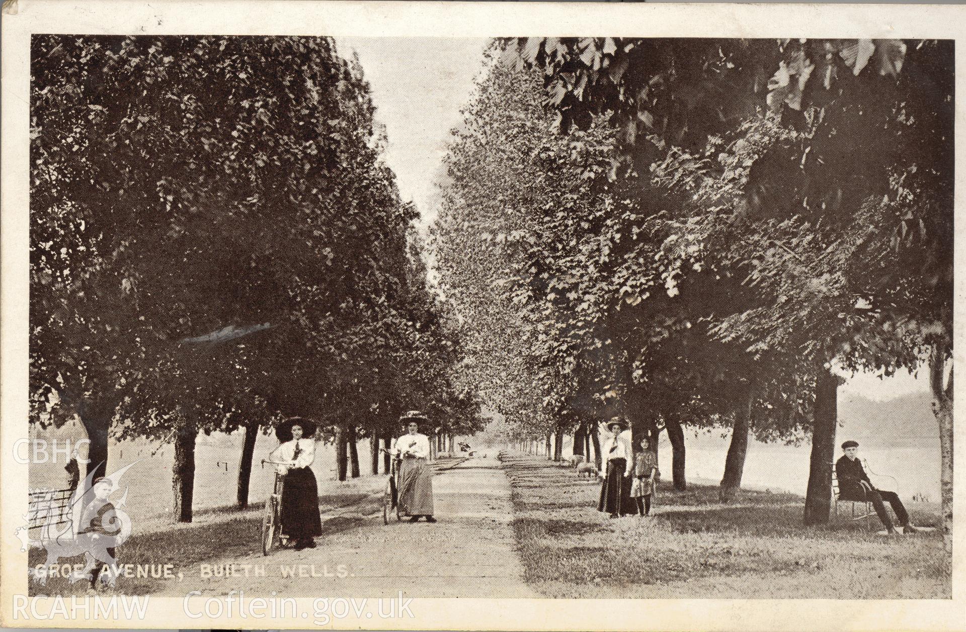 Digitised postcard image of Groe Avenue, Builth Wells, J. Clark, Castle Street, Builth Wells. Produced by Parks and Gardens Data Services, from an original item in the Peter Davis Collection at Parks and Gardens UK. We hold only web-resolution images of this collection, suitable for viewing on screen and for research purposes only. We do not hold the original images, or publication quality scans.