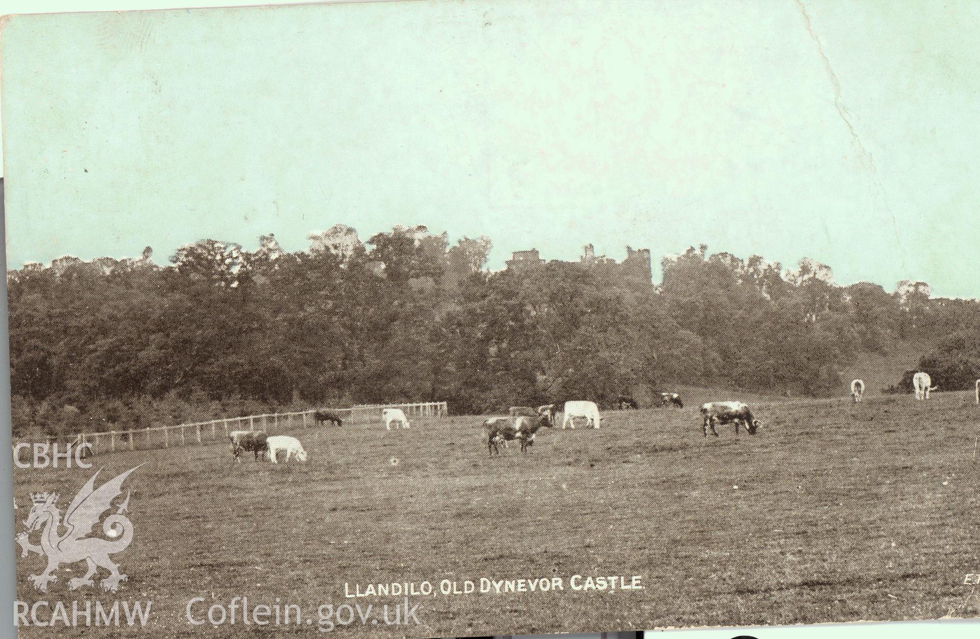 Digitised postcard image of Dinefor Castle grounds, Llandeilo, Dainty Series E.T.W. Dennis and Sons, Ltd., London and Scarborough. Produced by Parks and Gardens Data Services, from an original item in the Peter Davis Collection at Parks and Gardens UK. We hold only web-resolution images of this collection, suitable for viewing on screen and for research purposes only. We do not hold the original images, or publication quality scans.