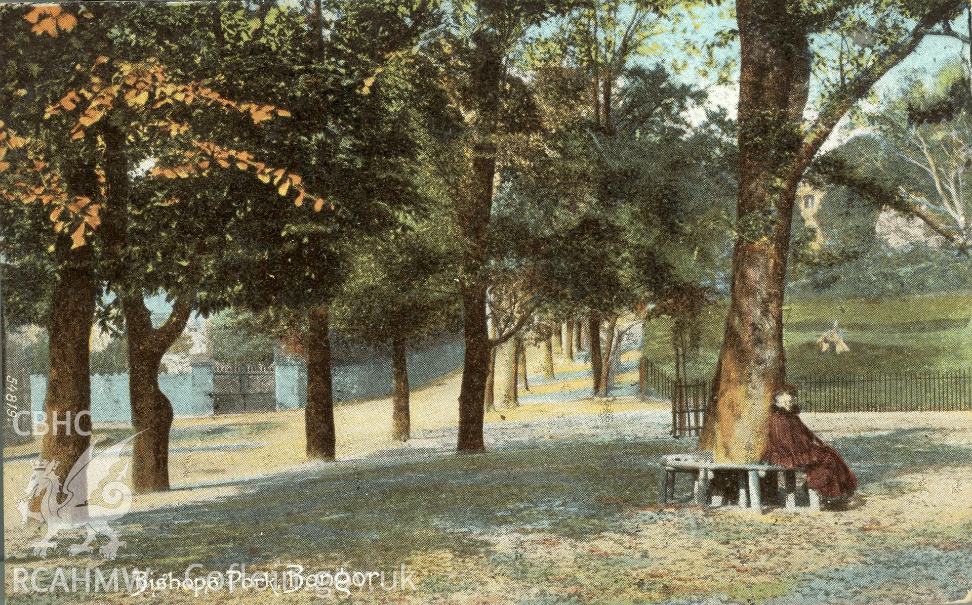 Digitised postcard image of Bishops Park, Bangor, with figures, F. Frith and Co. Produced by Parks and Gardens Data Services, from an original item in the Peter Davis Collection at Parks and Gardens UK. We hold only web-resolution images of this collection, suitable for viewing on screen and for research purposes only. We do not hold the original images, or publication quality scans.