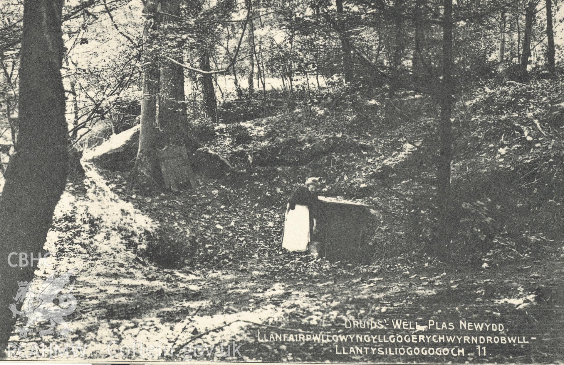 Digitised postcard image of Plas Newydd grounds, Llanddaniel Fab, including Druids' Well and figure, E.E. Roberts' Series  LlanfairPG. Produced by Parks and Gardens Data Services, from an original item in the Peter Davis Collection at Parks and Gardens UK. We hold only web-resolution images of this collection, suitable for viewing on screen and for research purposes only. We do not hold the original images, or publication quality scans.