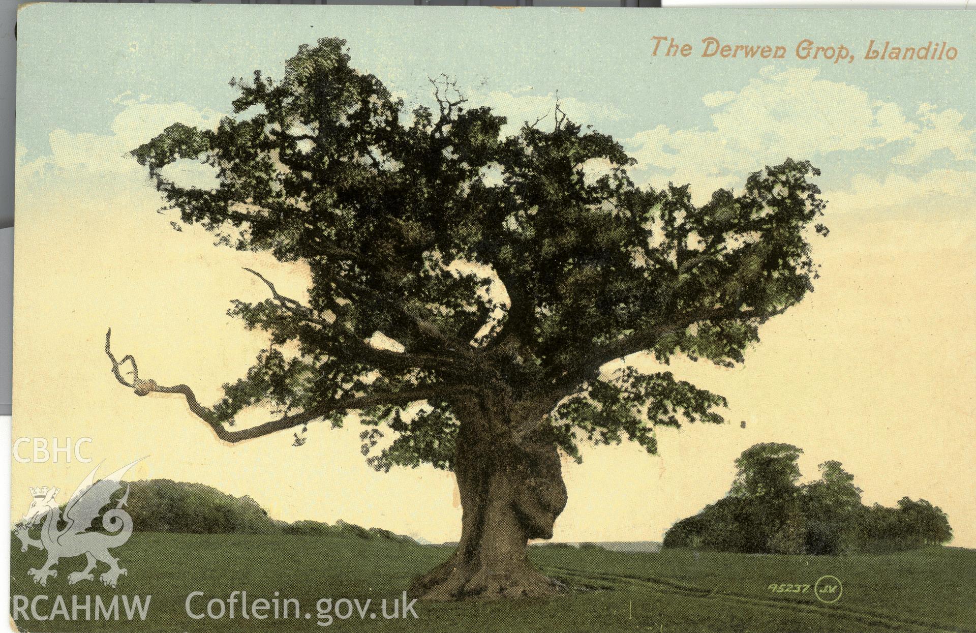 Digitised postcard image of large tree in Dinefor Castle grounds, Llandeilo, Valentine's Series. Produced by Parks and Gardens Data Services, from an original item in the Peter Davis Collection at Parks and Gardens UK. We hold only web-resolution images of this collection, suitable for viewing on screen and for research purposes only. We do not hold the original images, or publication quality scans.