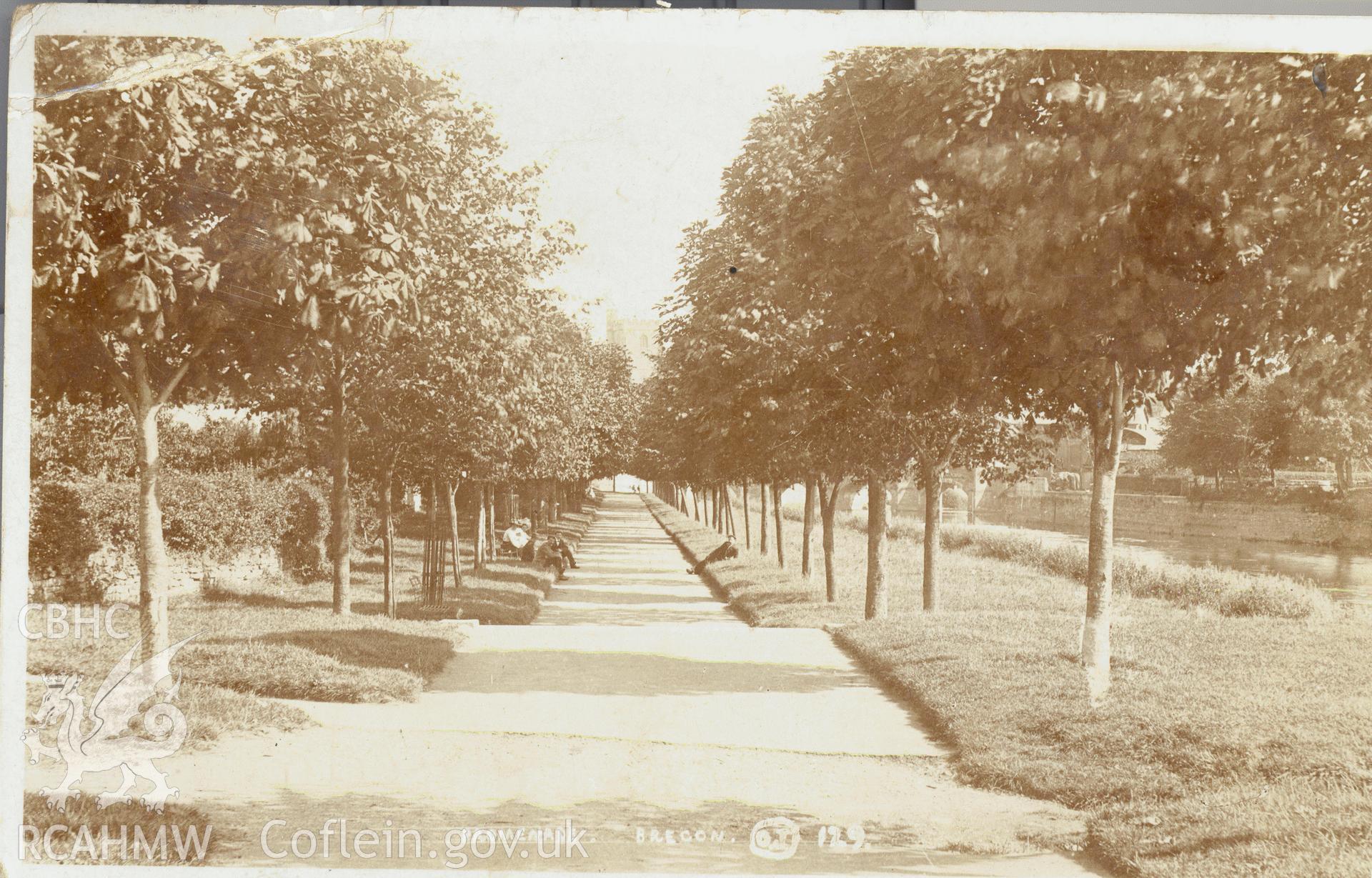 Digitised postcard image of Promenade, Brecon, O. Jackson, Brecon. Produced by Parks and Gardens Data Services, from an original item in the Peter Davis Collection at Parks and Gardens UK. We hold only web-resolution images of this collection, suitable for viewing on screen and for research purposes only. We do not hold the original images, or publication quality scans.