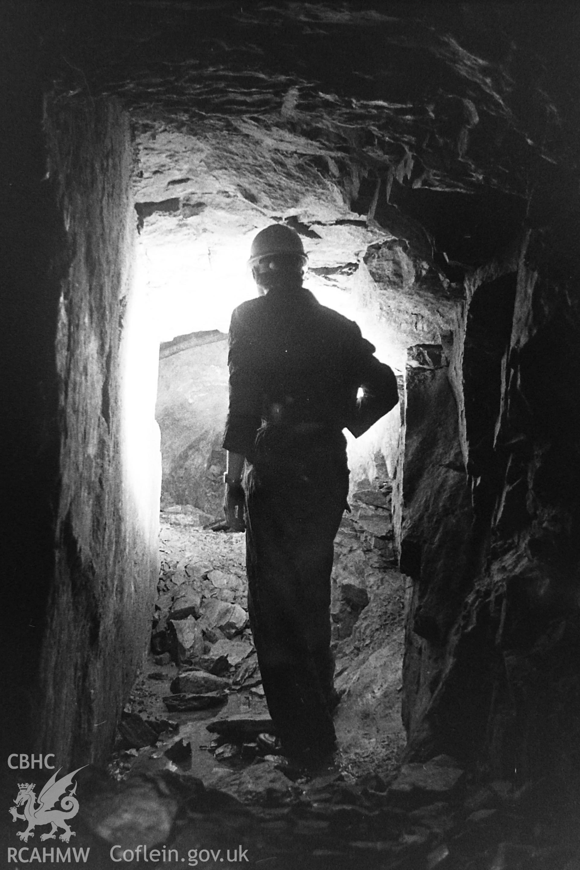 Black and white photo showing view of Llangunnor Lead Mines, taken by Paul R. Davis, 1984.