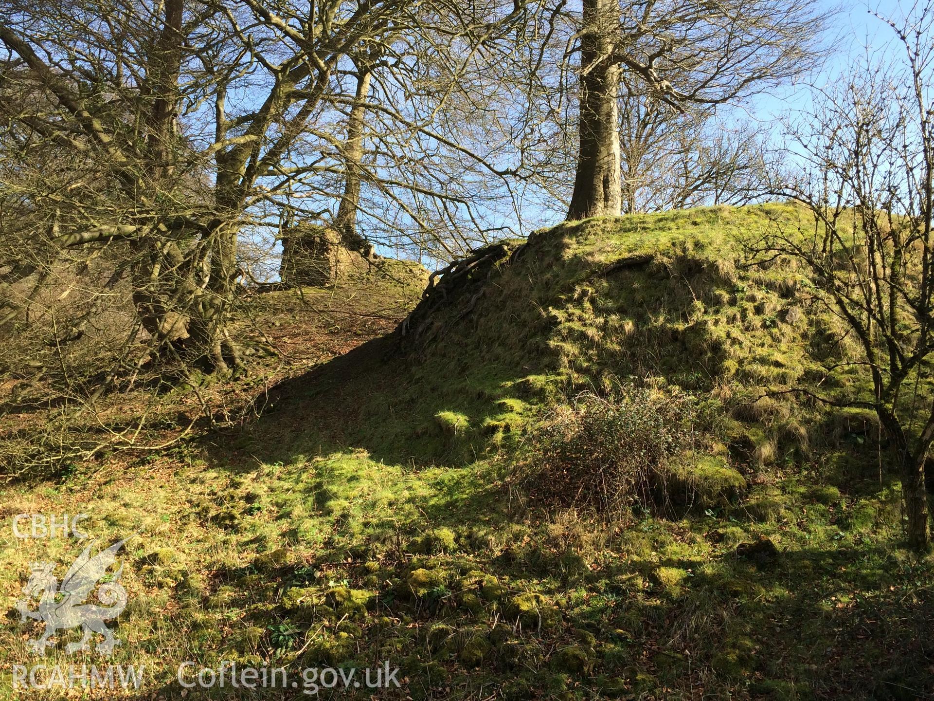 Colour photo showing Castell Meredydd, produced by  Paul R. Davis, 2nd February 2017.