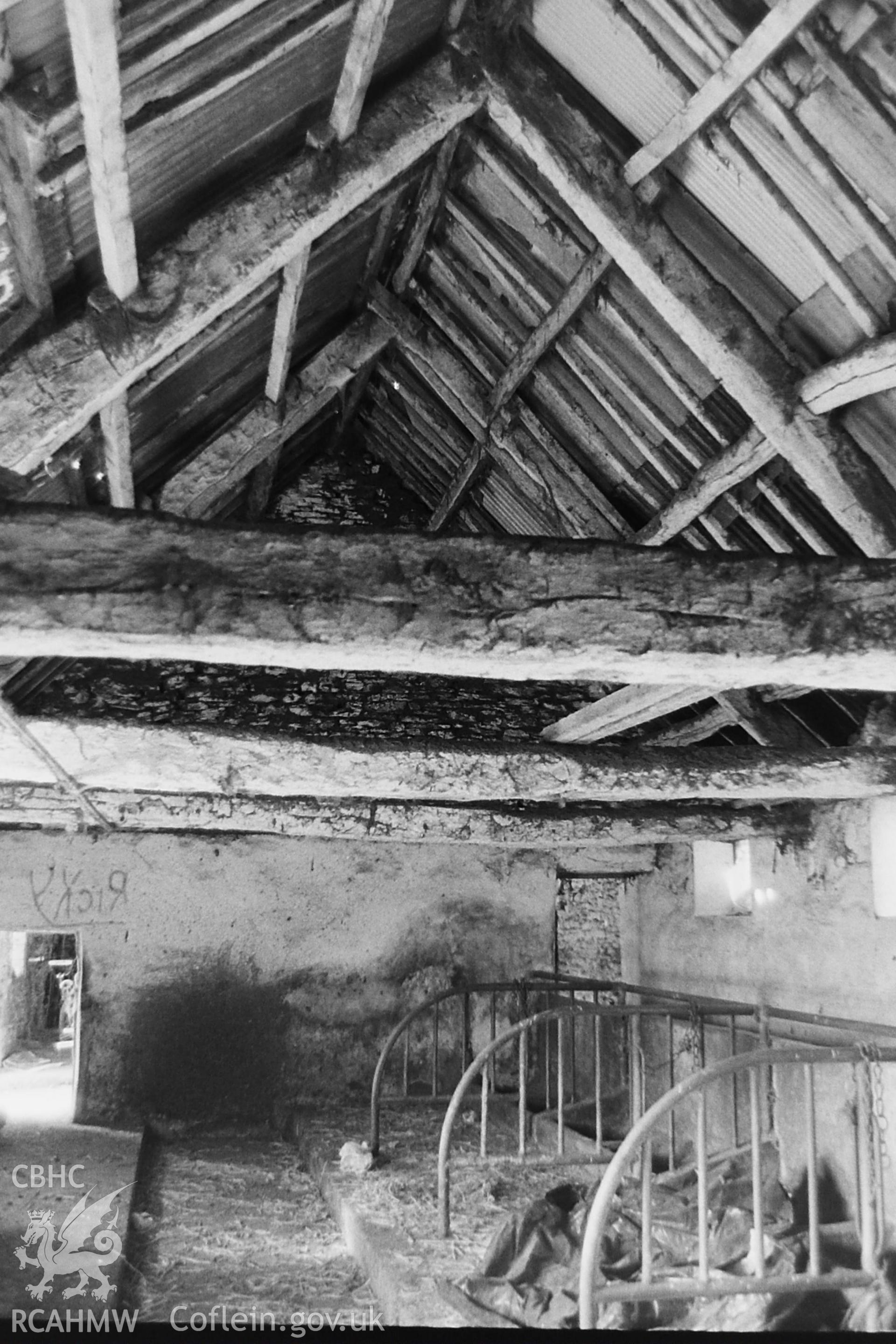 Black and white photo showing interior view of a cowshed at Gellifaelog, Tonypandy  taken by Paul R. Davis in 1984, before demolition.